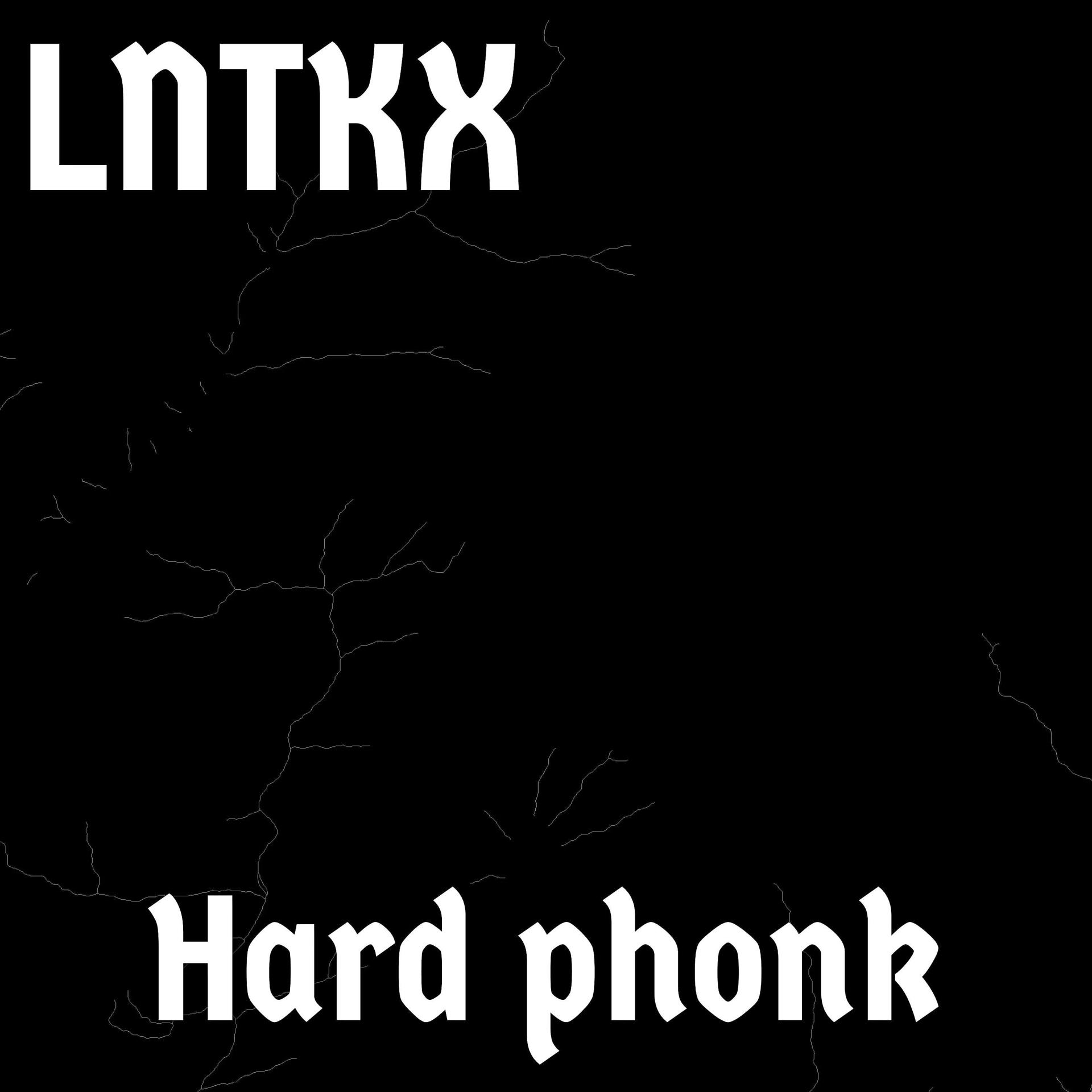 Постер альбома Hard Phonk