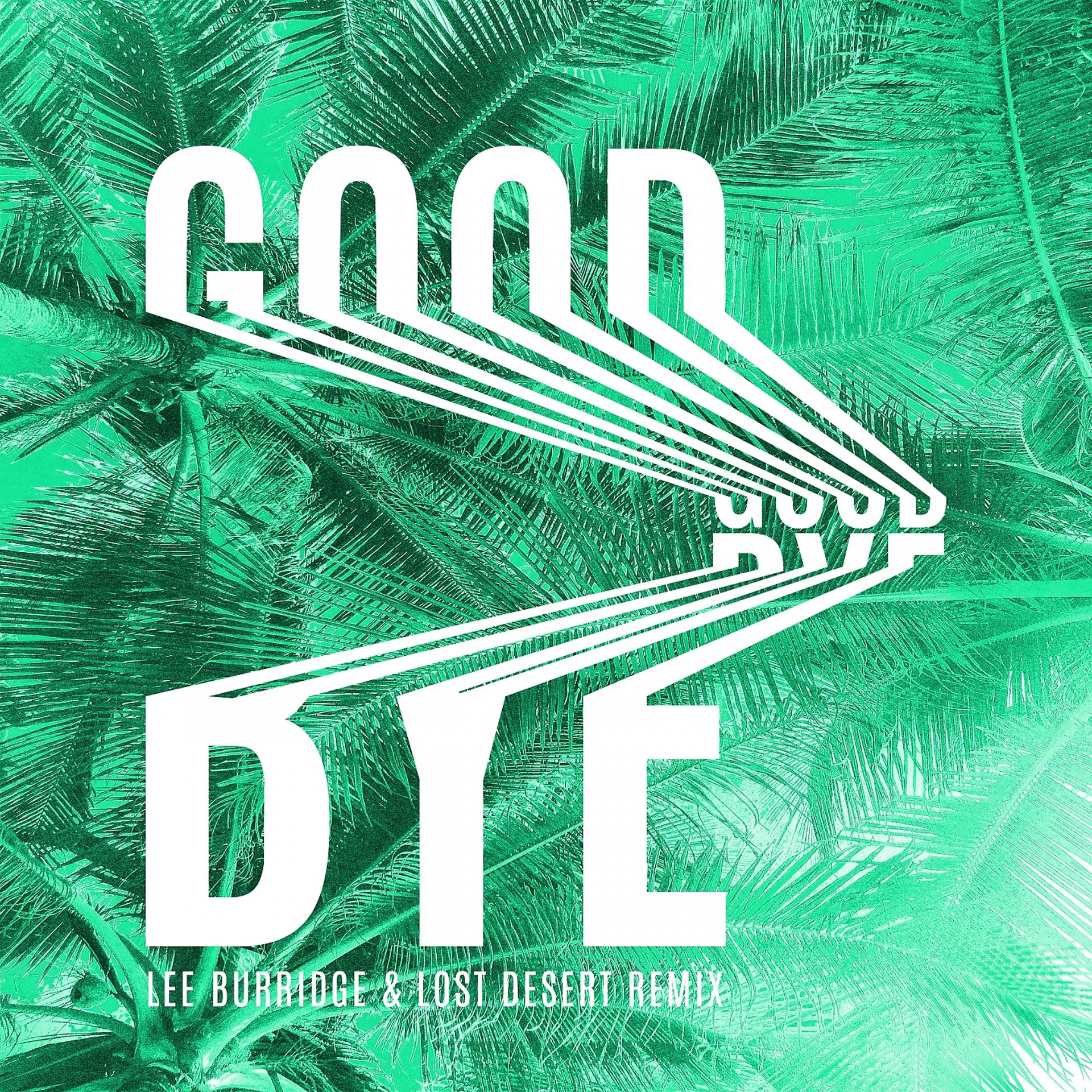 Постер альбома Goodbye (Lee Burridge & Lost Desert Remix)