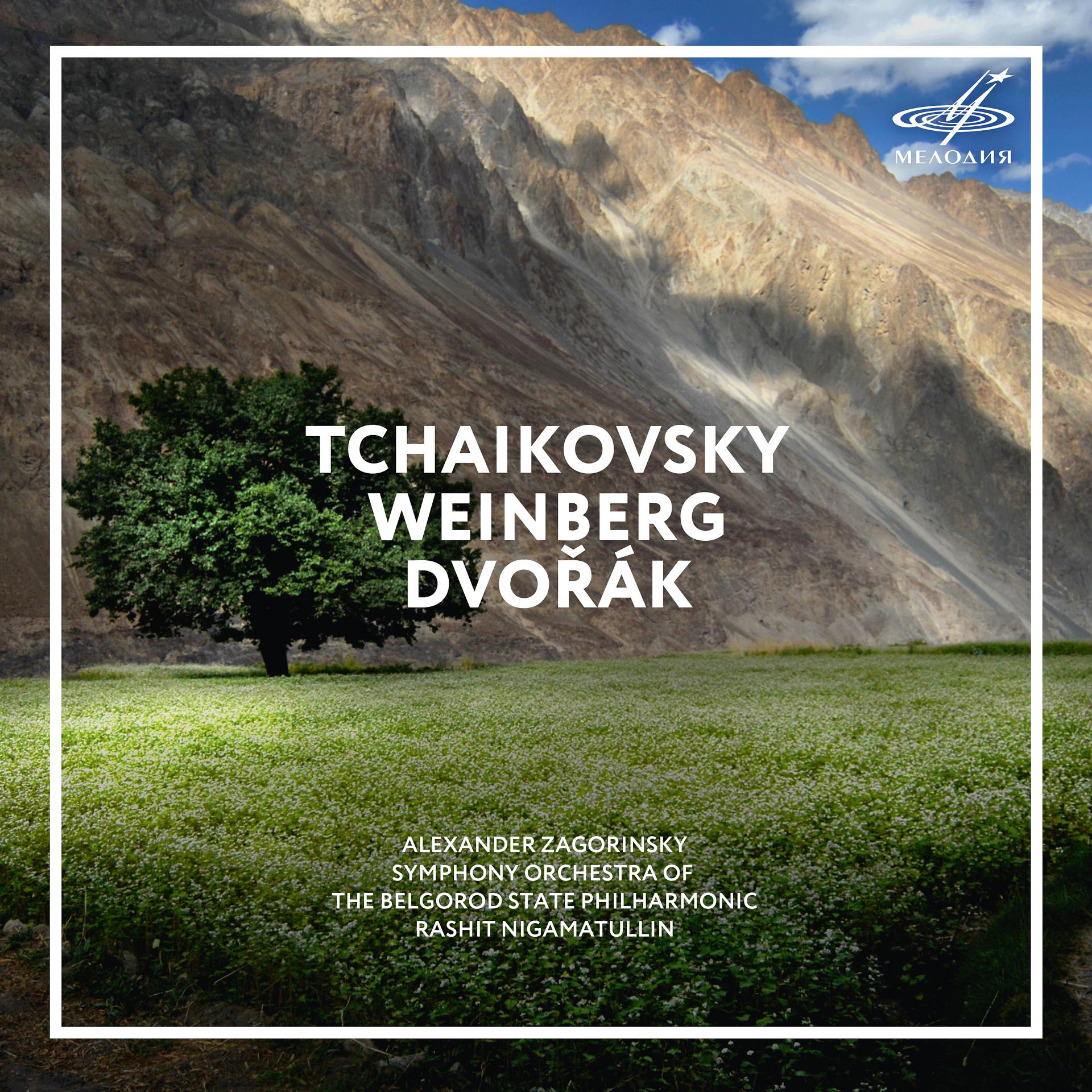 Постер альбома Чайковский, Вайнберг, Дворжак