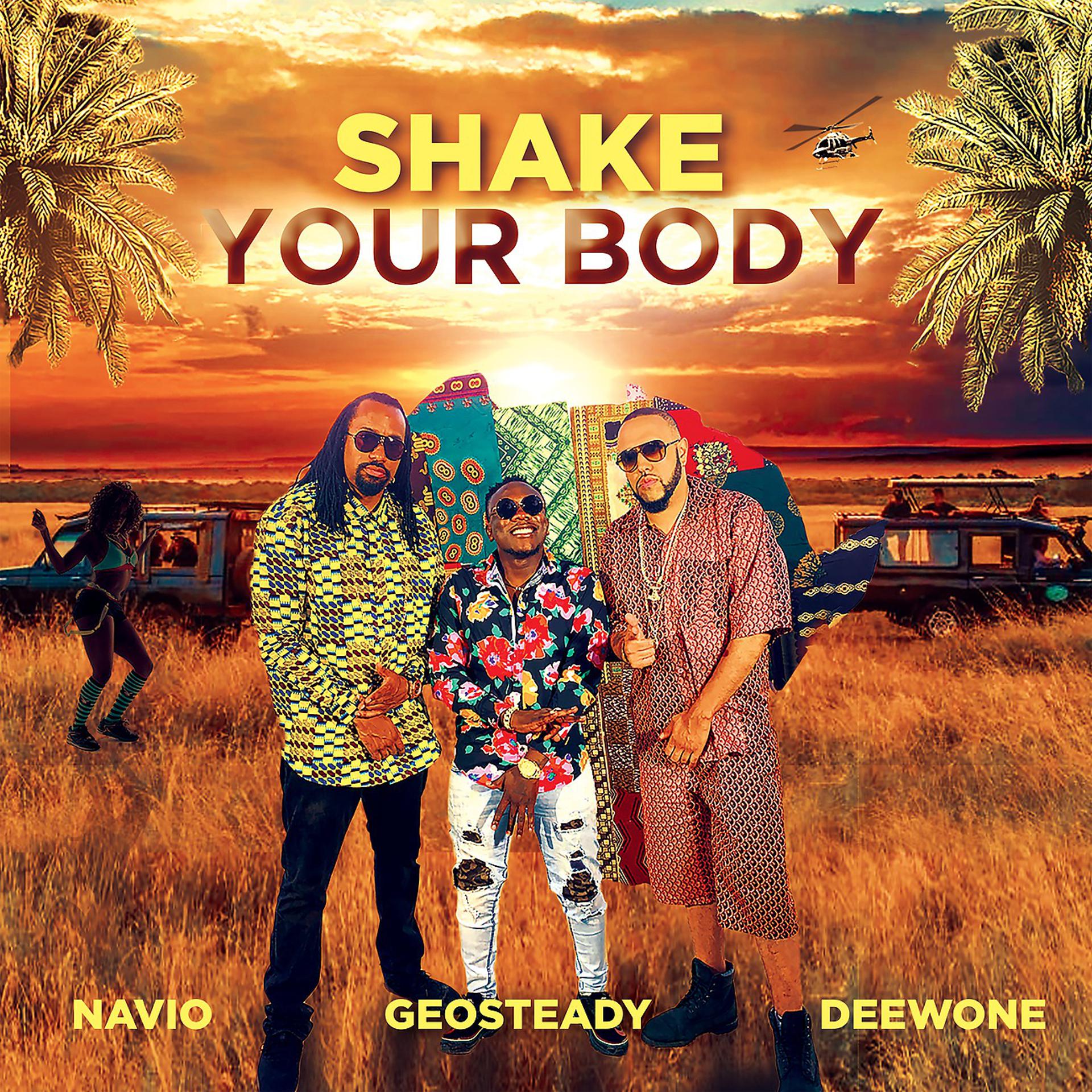 Постер альбома Shake Your Body