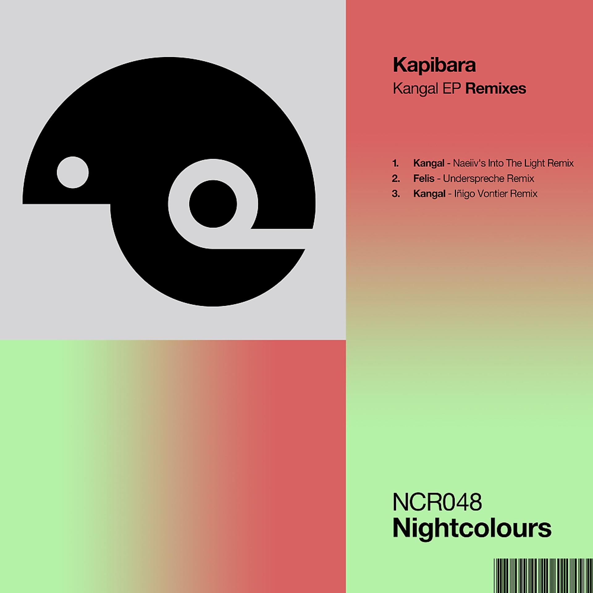 Постер альбома Kangal EP Remixes