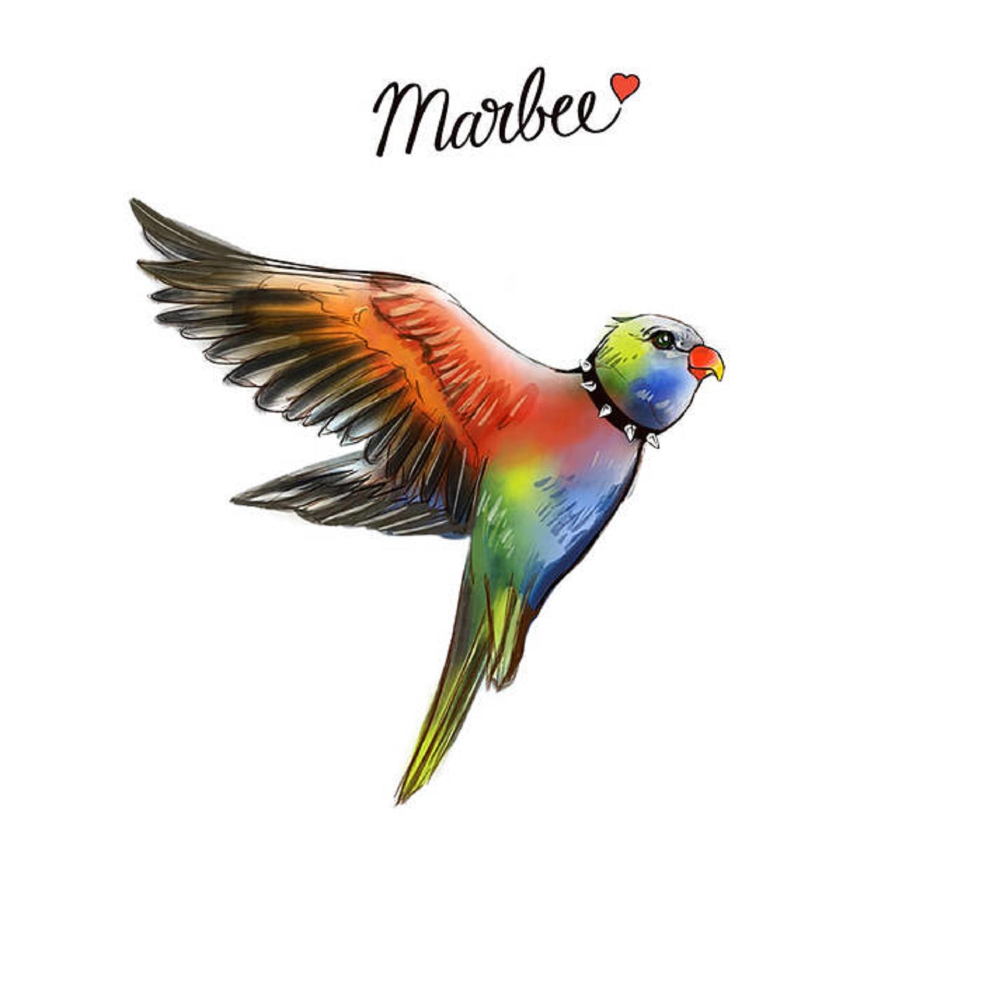 Постер альбома Rainbow Bird