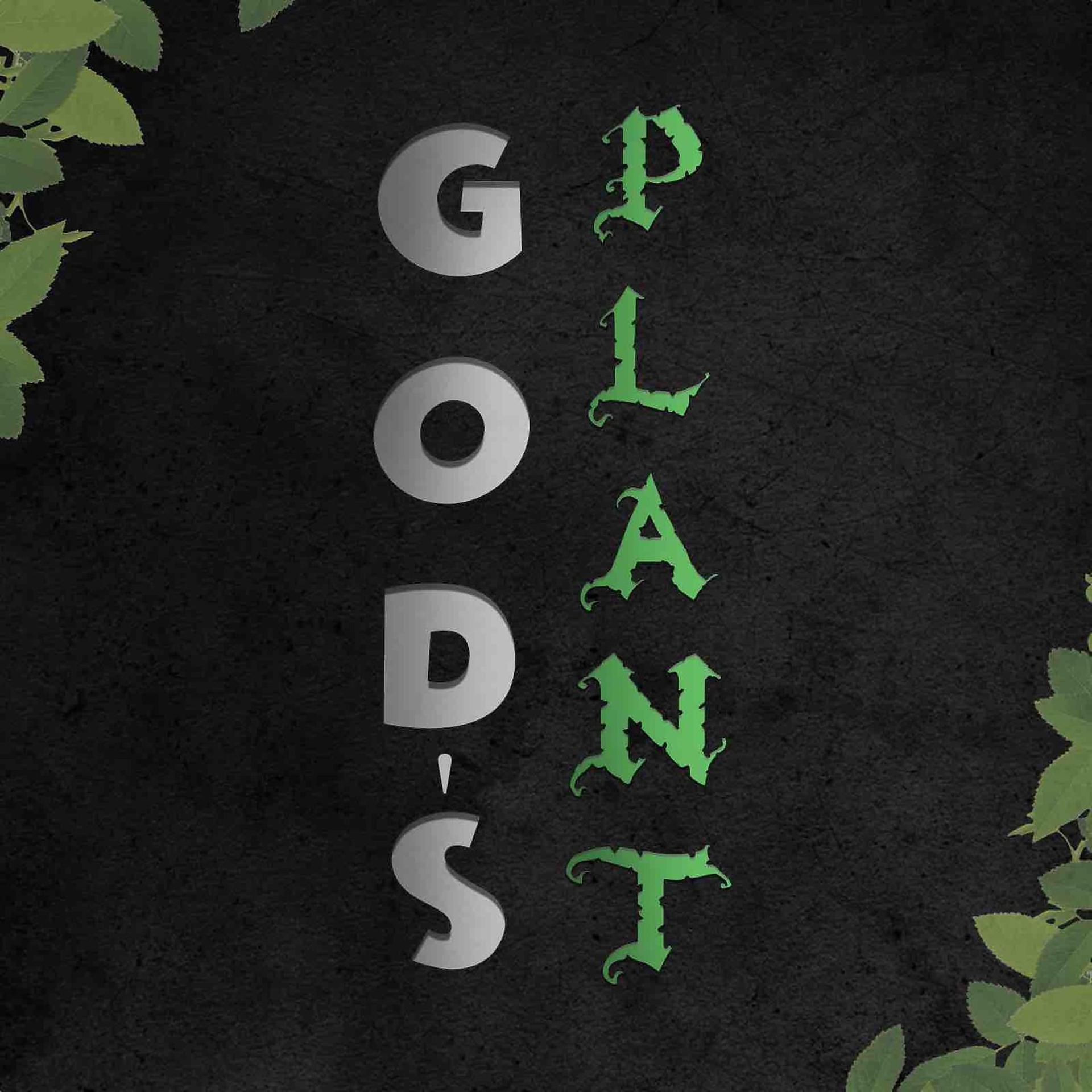 Постер альбома God's Plant