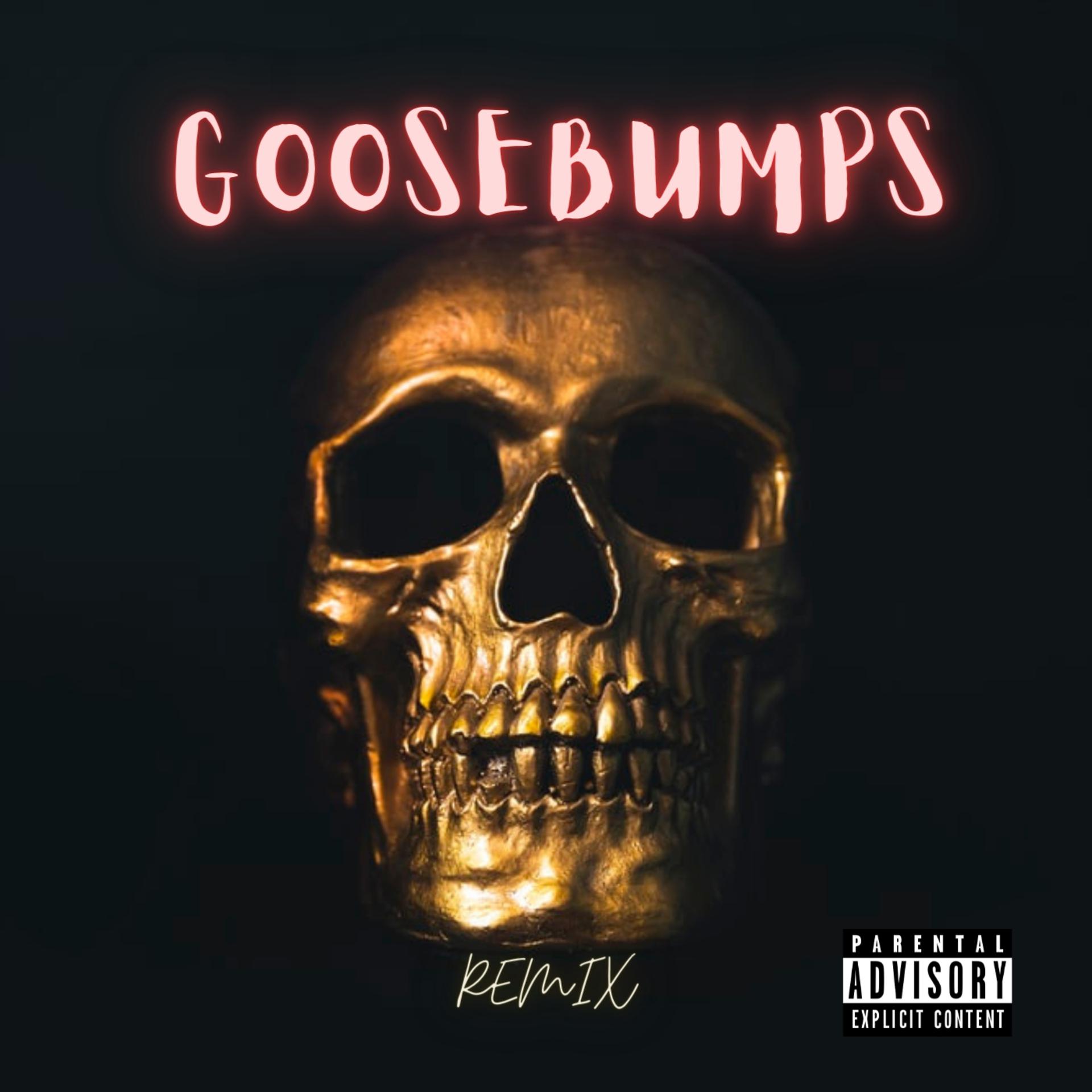 Постер альбома Goosebumps (Remix)