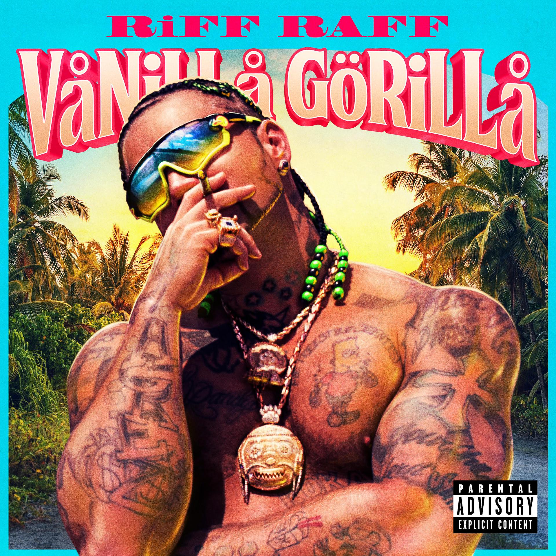 Постер альбома Vanilla Gorilla