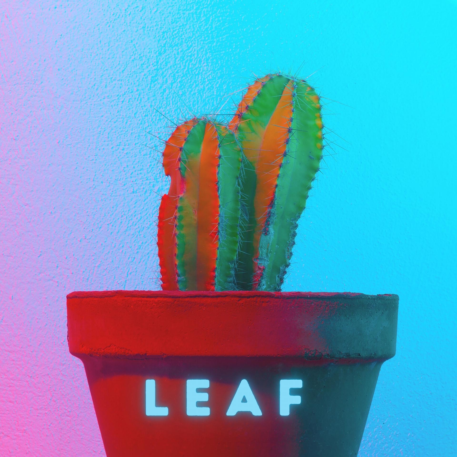 Постер альбома Leaf