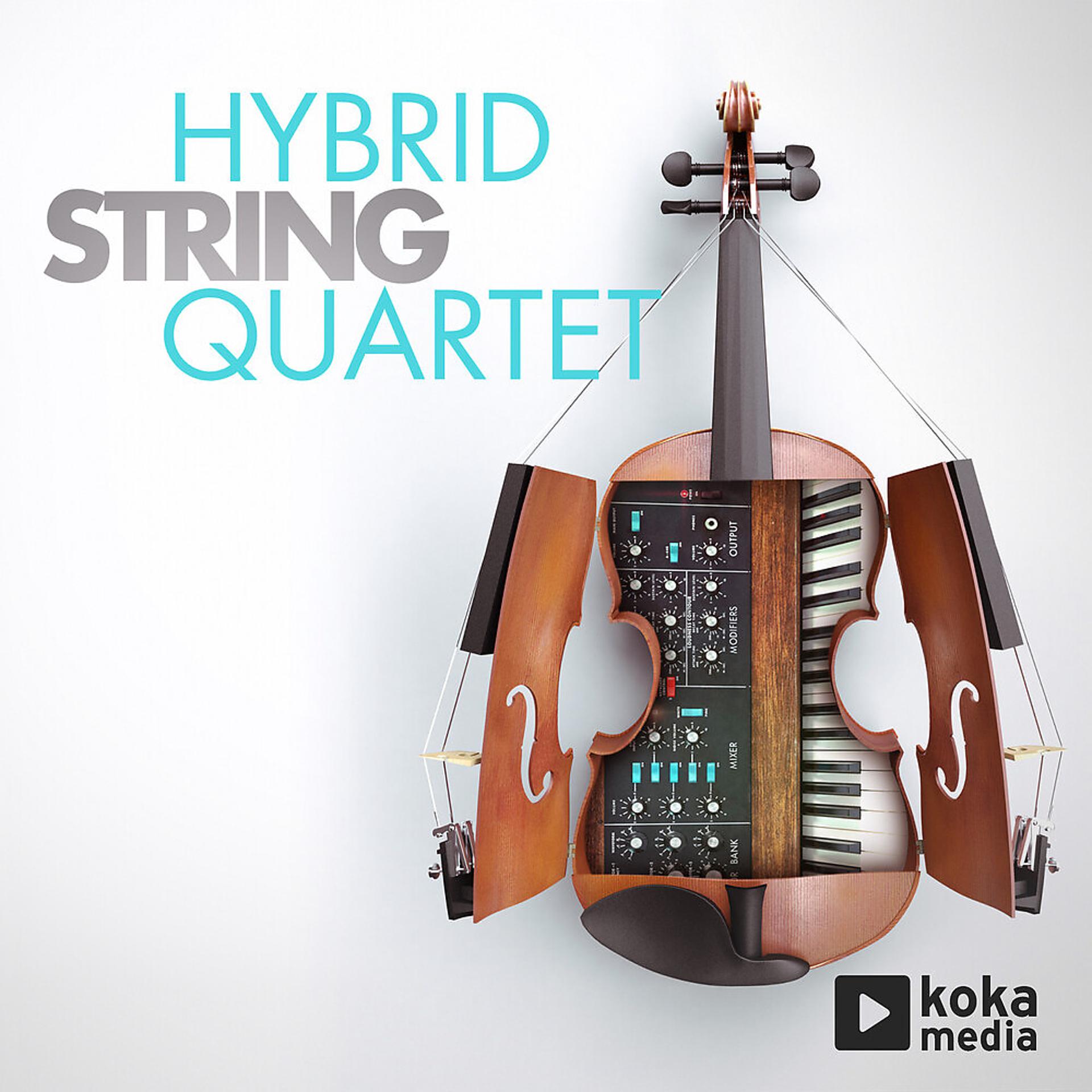 Постер альбома Hybrid String Quartet