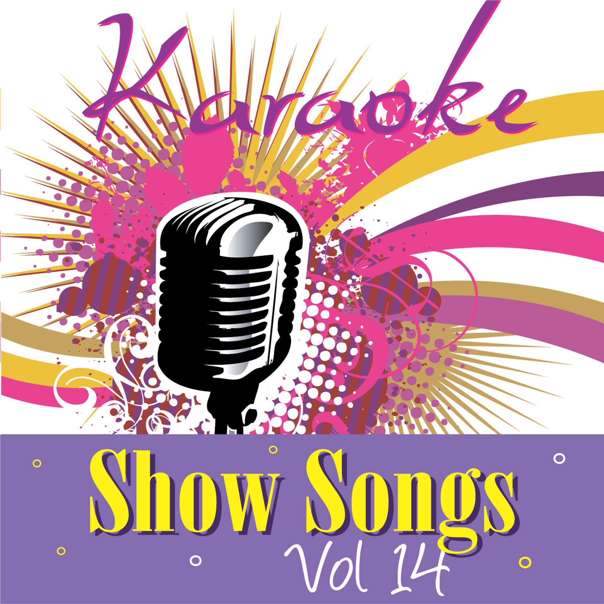 Постер альбома Karaoke - Show Songs Vol.14