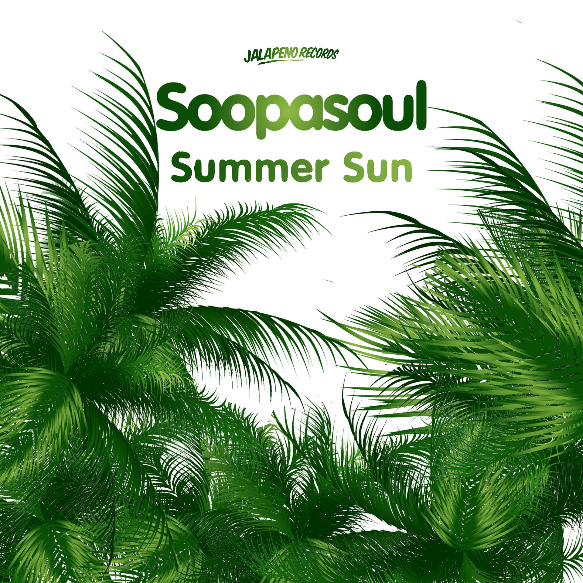 Постер альбома Summer Sun - Single