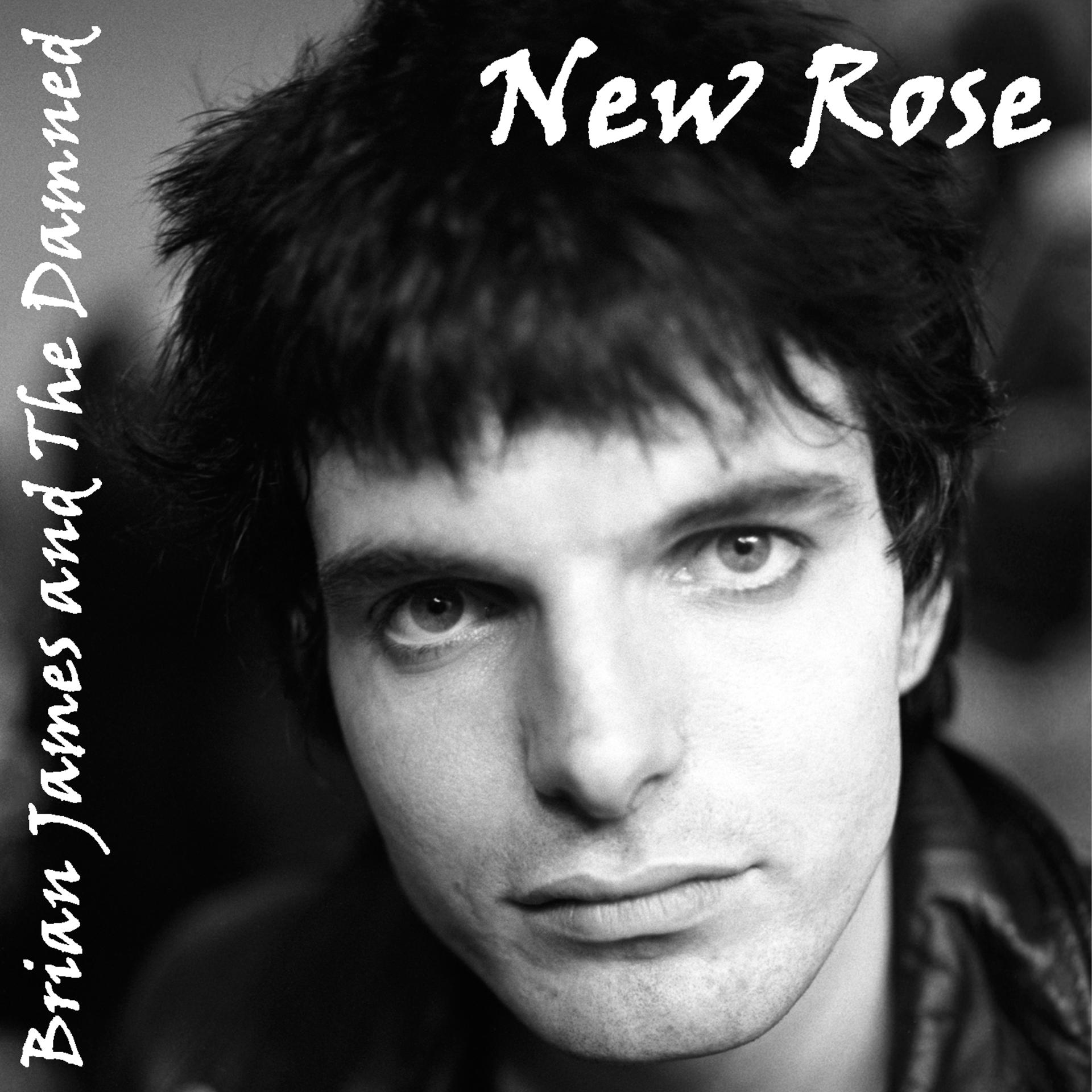 Постер альбома New Rose