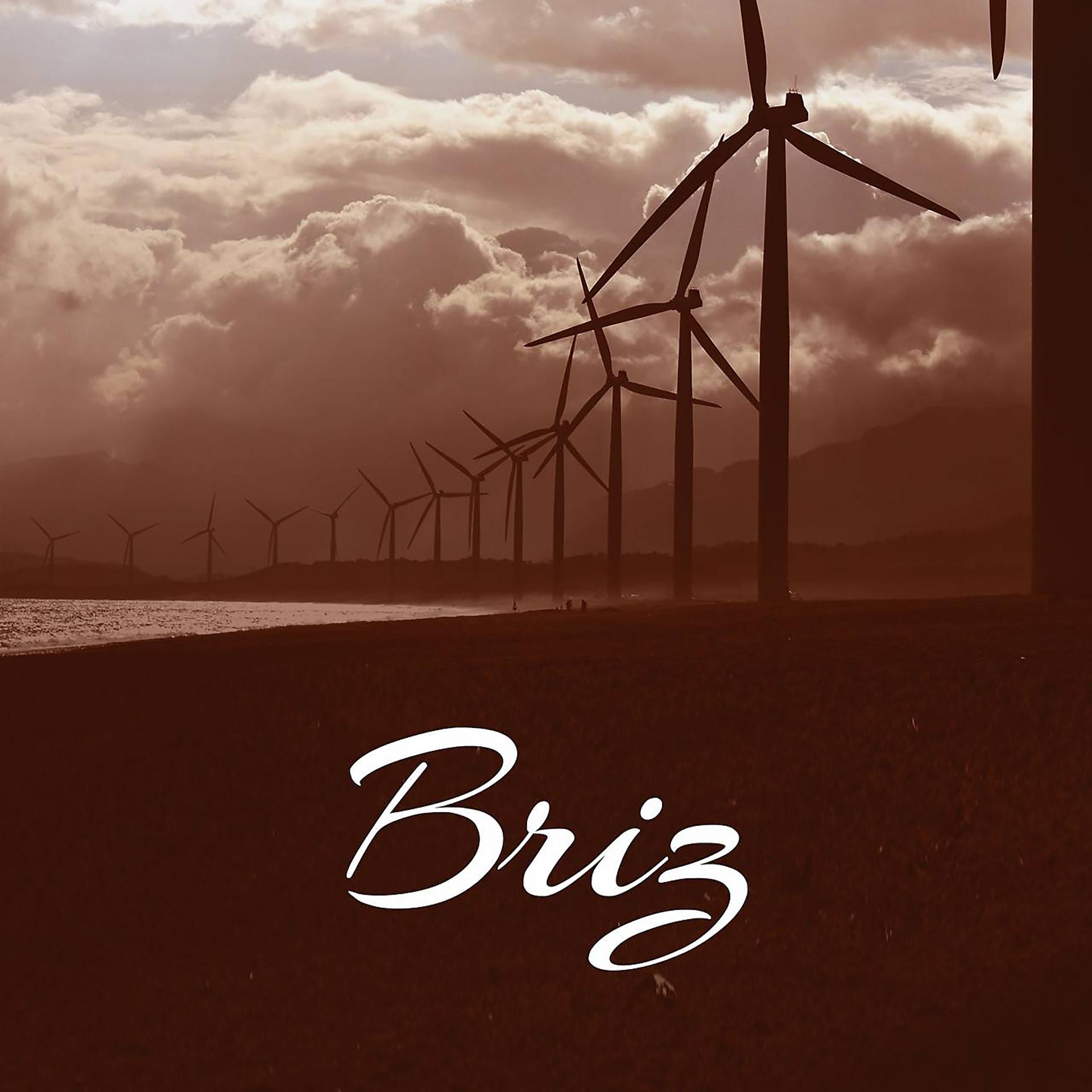 Постер альбома Briz
