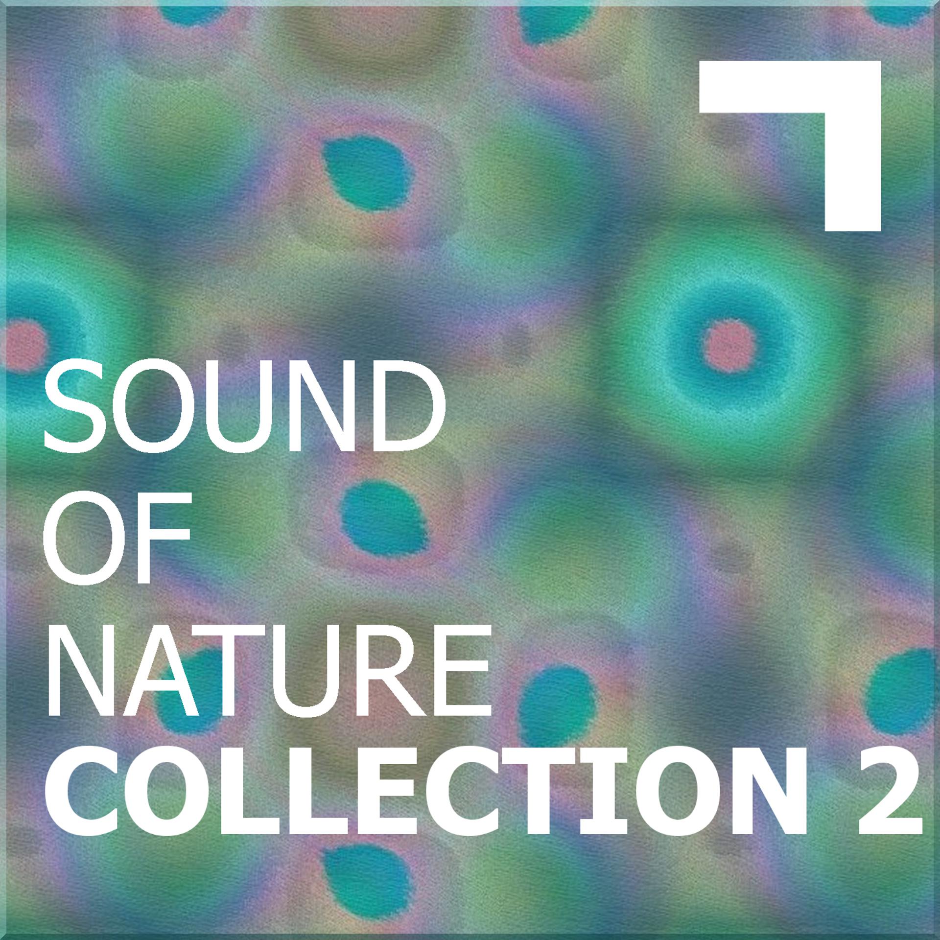 Постер альбома Sound of the nature – collection 2