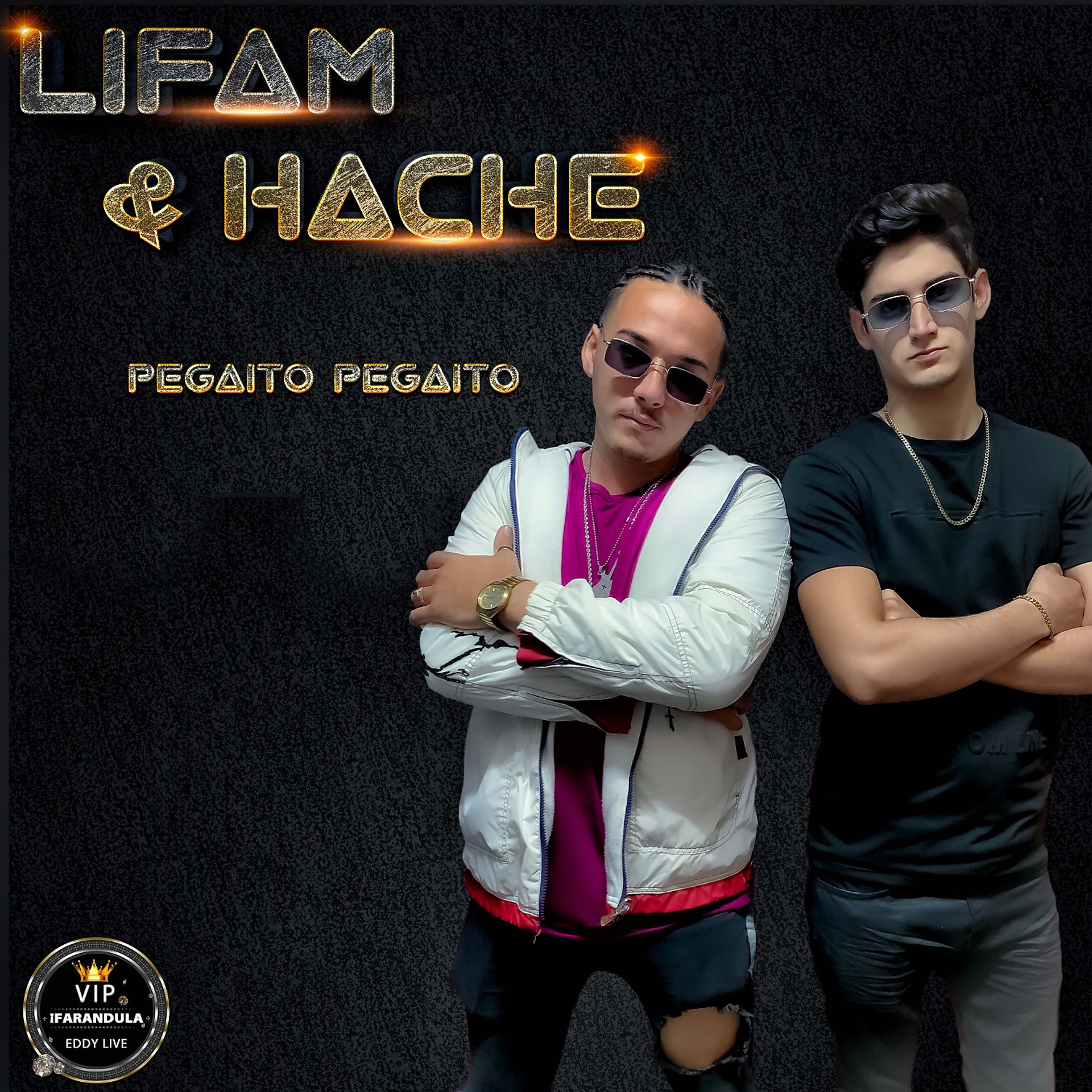 Постер альбома Pegaito Pegaito