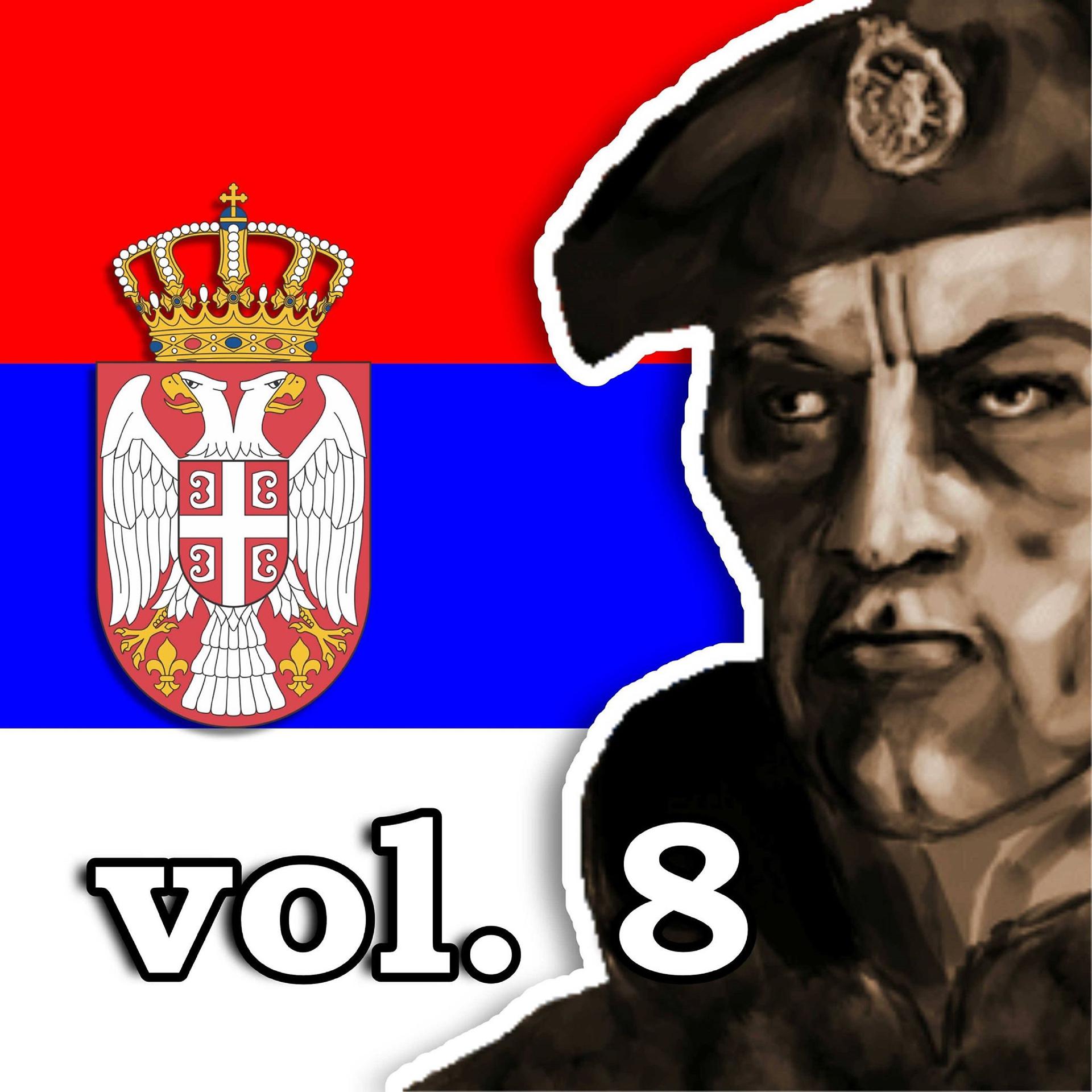 Постер альбома Koktel patriotskih hitova vol. 8