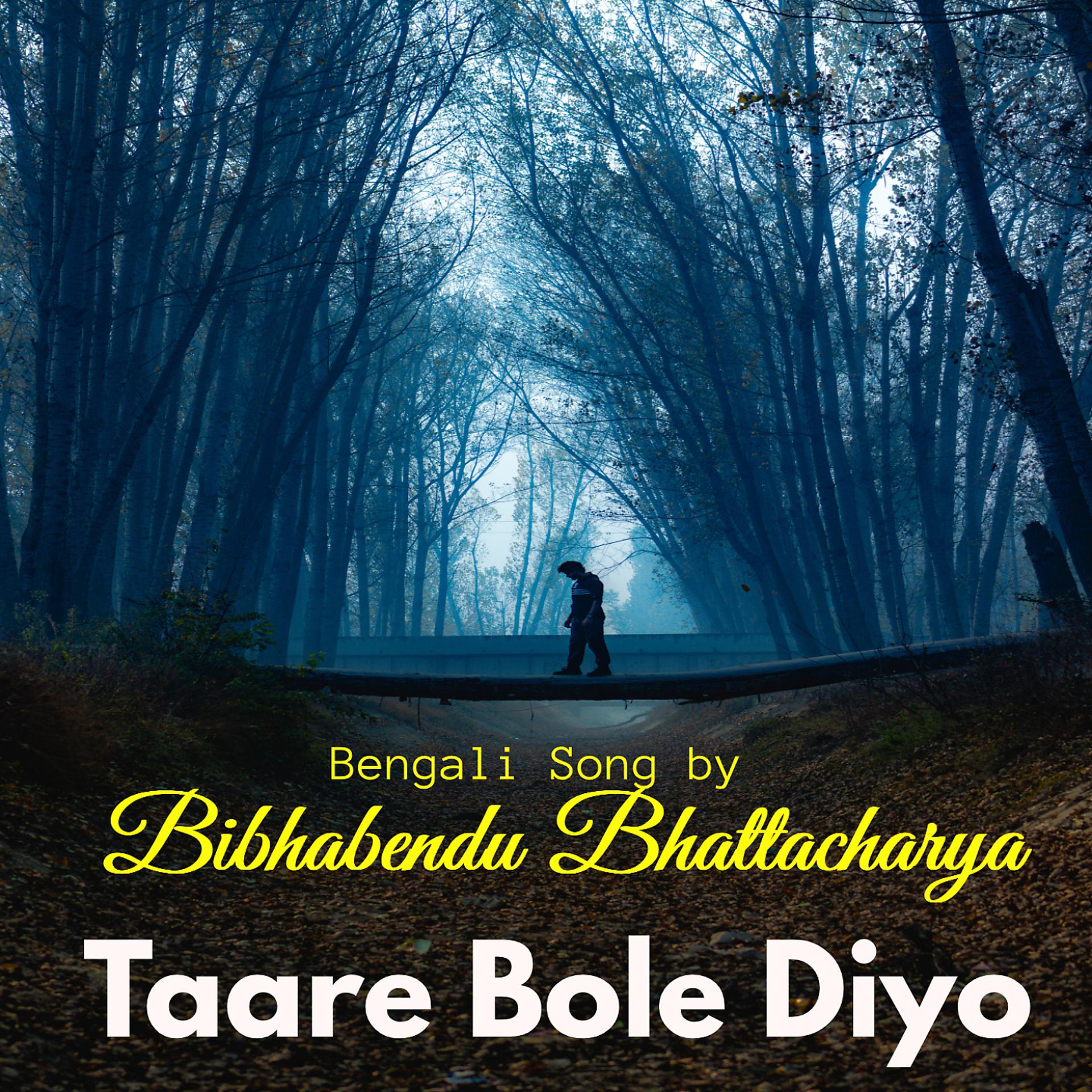 Постер альбома Taare Bole Diyo