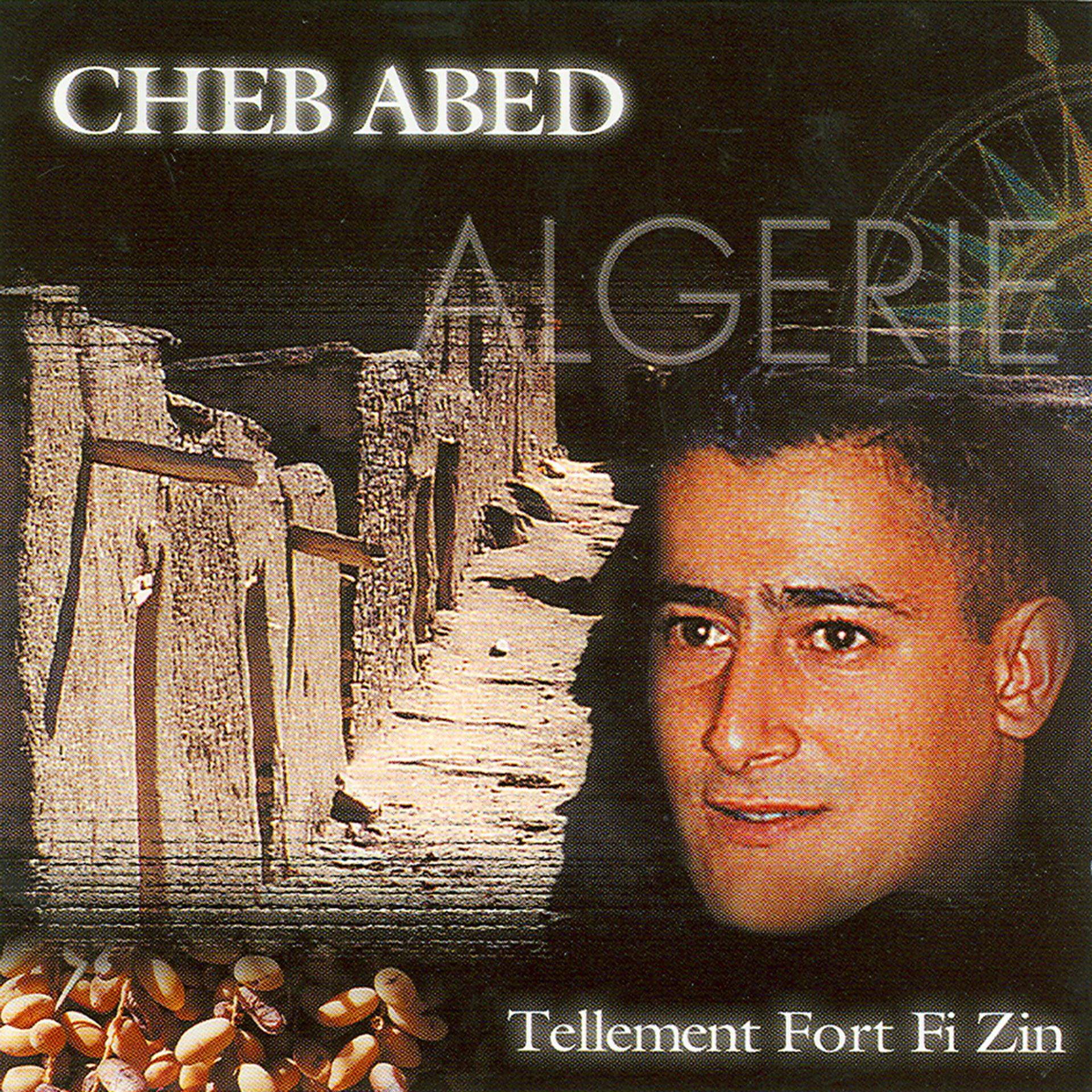 Постер альбома Tellement Fort Fi Zin - Disc 1/2