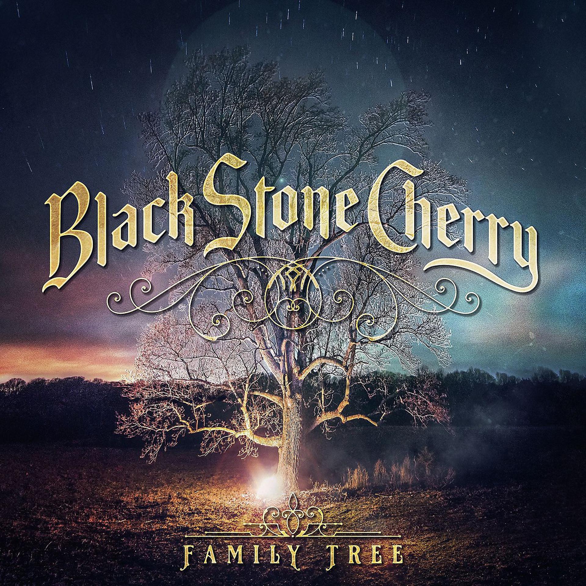 Постер альбома Family Tree