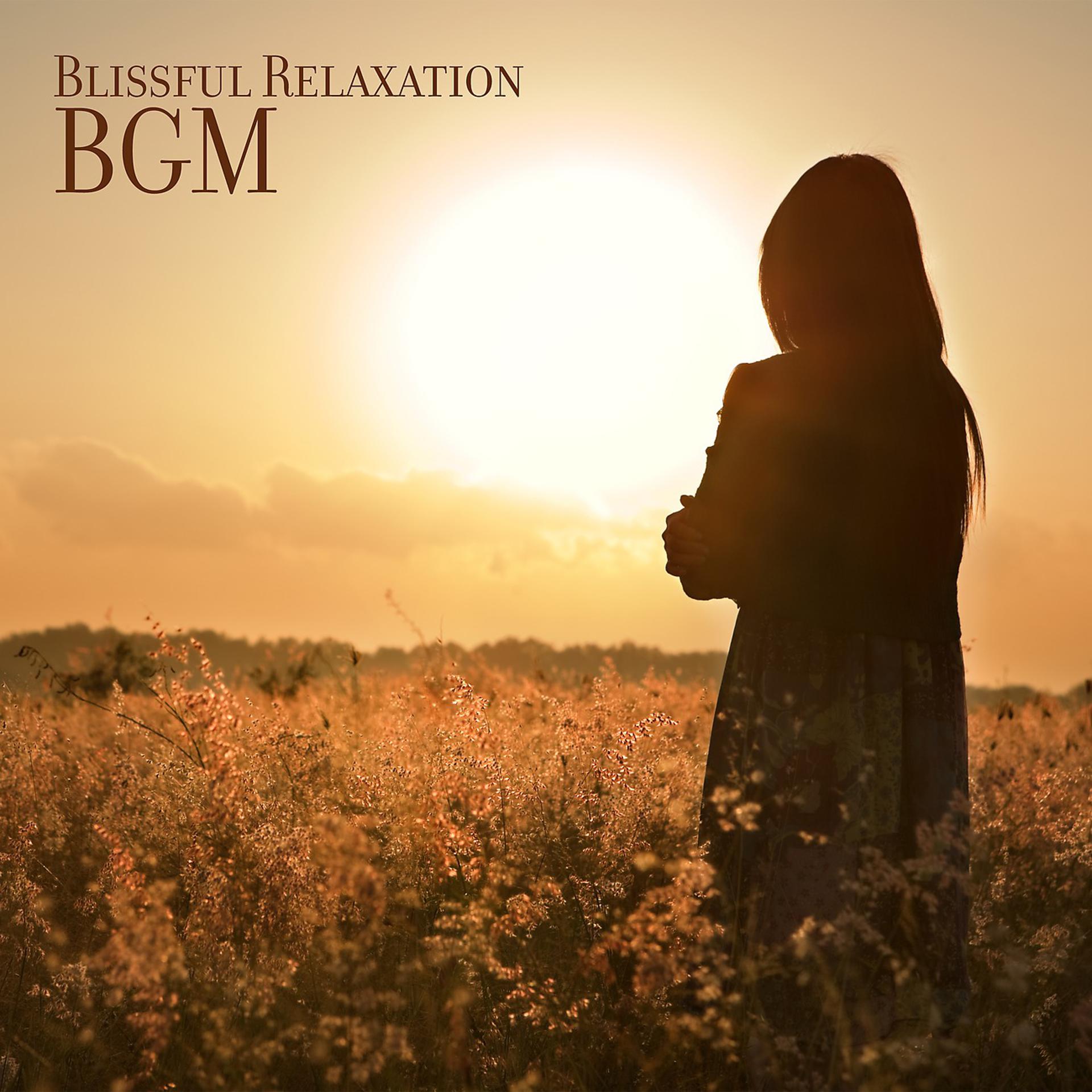 Постер альбома Blissful Relaxation BGM