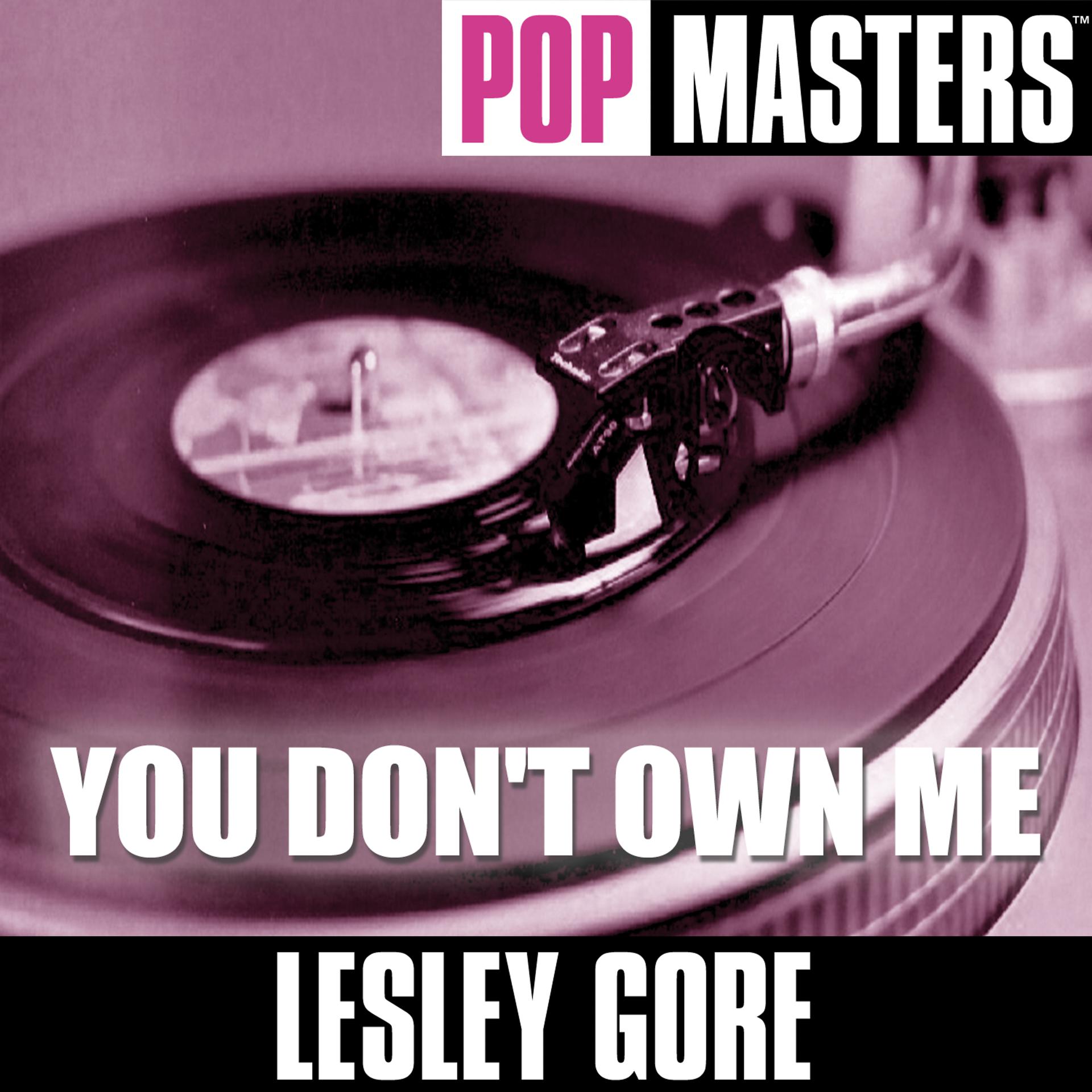 Постер альбома Pop Masters: You Don't Own Me