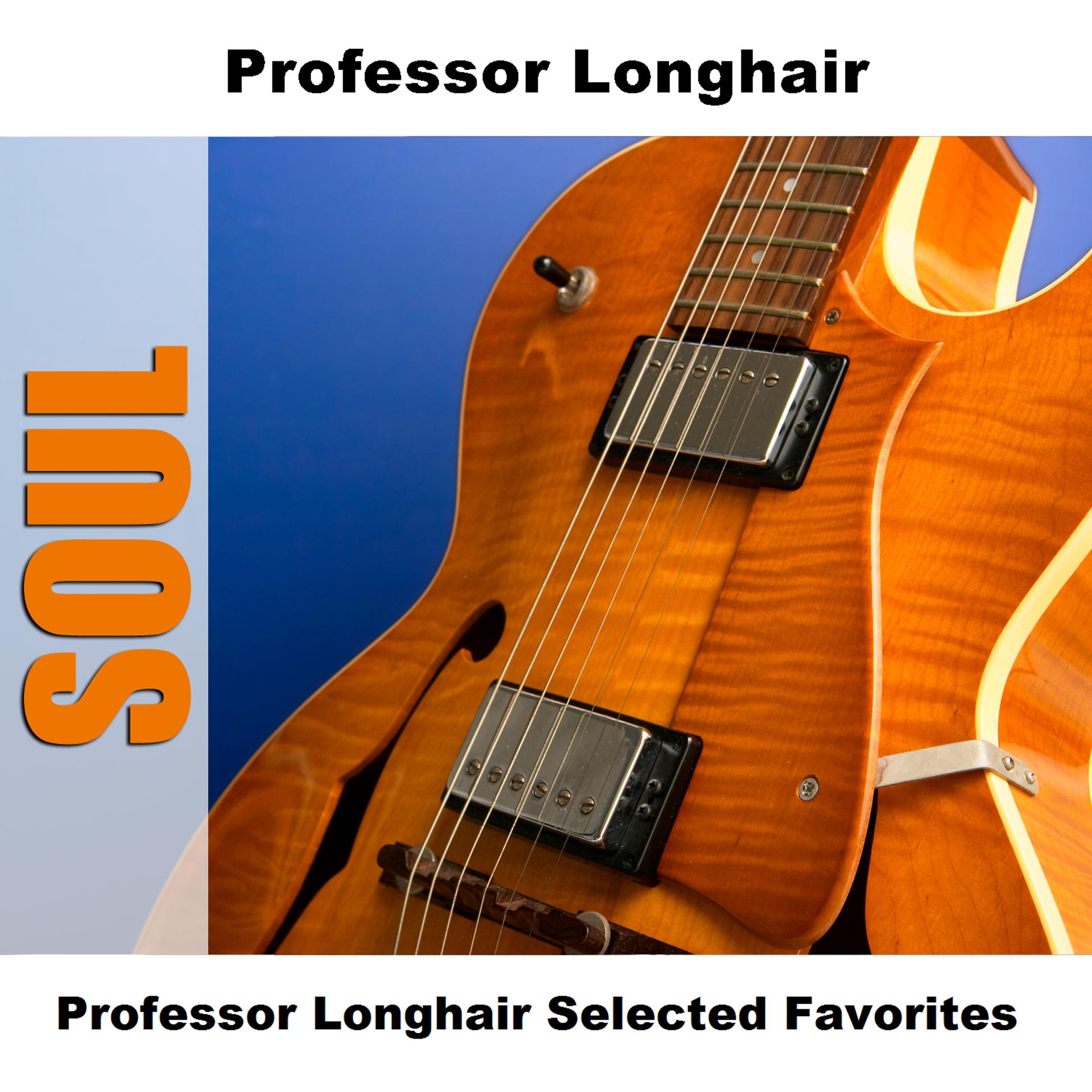 Постер альбома Professor Longhair Selected Favorites