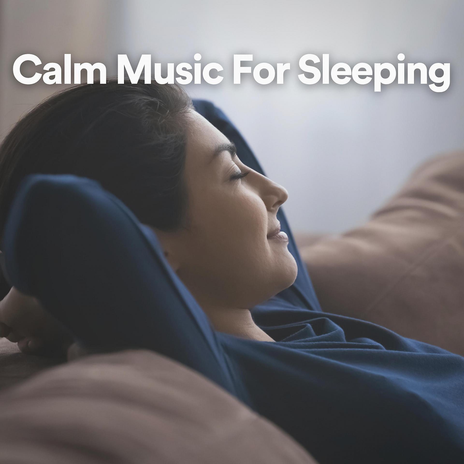 Постер альбома Calm Music For Sleeping
