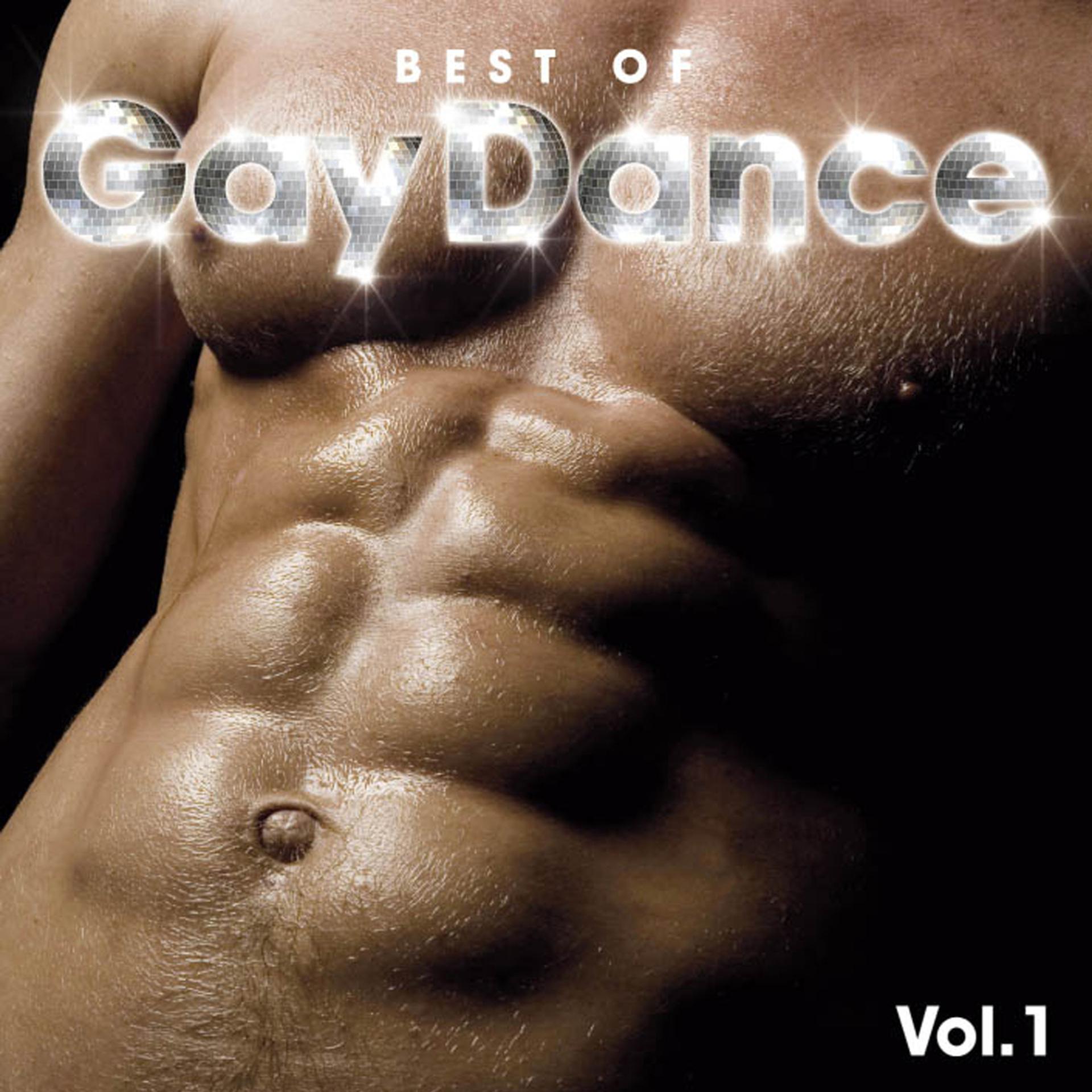 Постер альбома Best Of Gay Dance Vol. 1