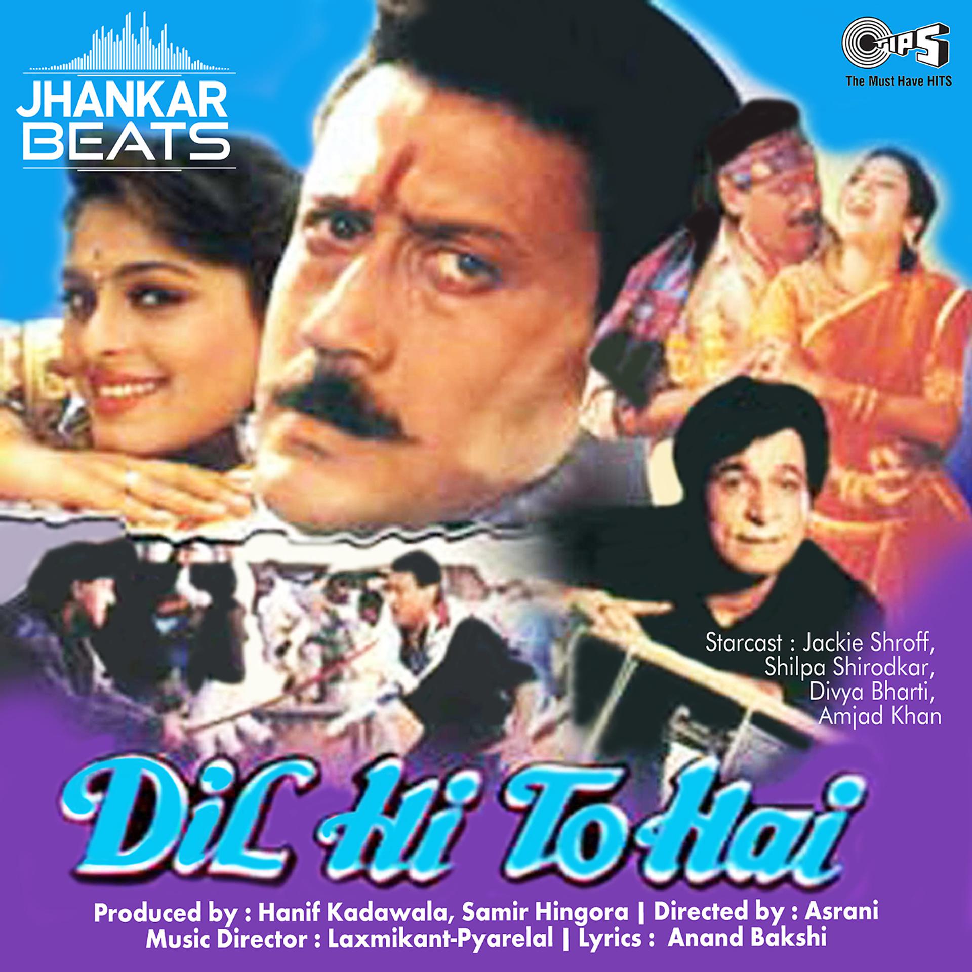 Постер альбома Dil Hi To Hai (Jhankar) [Original Motion Picture Soundtrack]