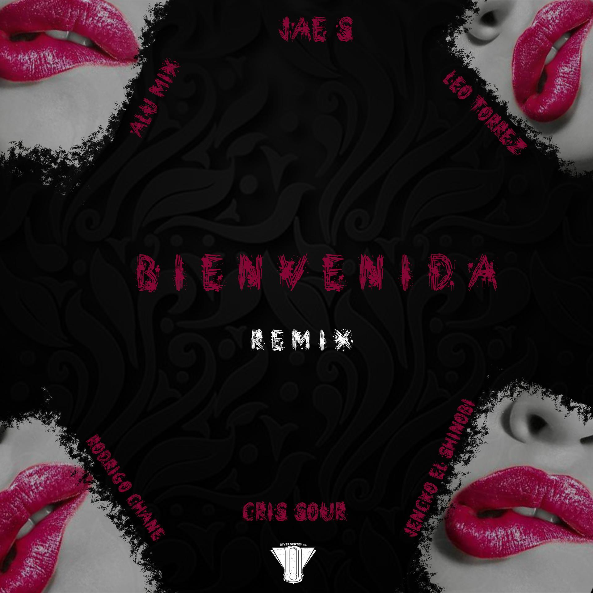 Постер альбома Bienvenida (feat. Jencko el Shinobi, Rodrigo Chané & Cris Sour) [Remix]