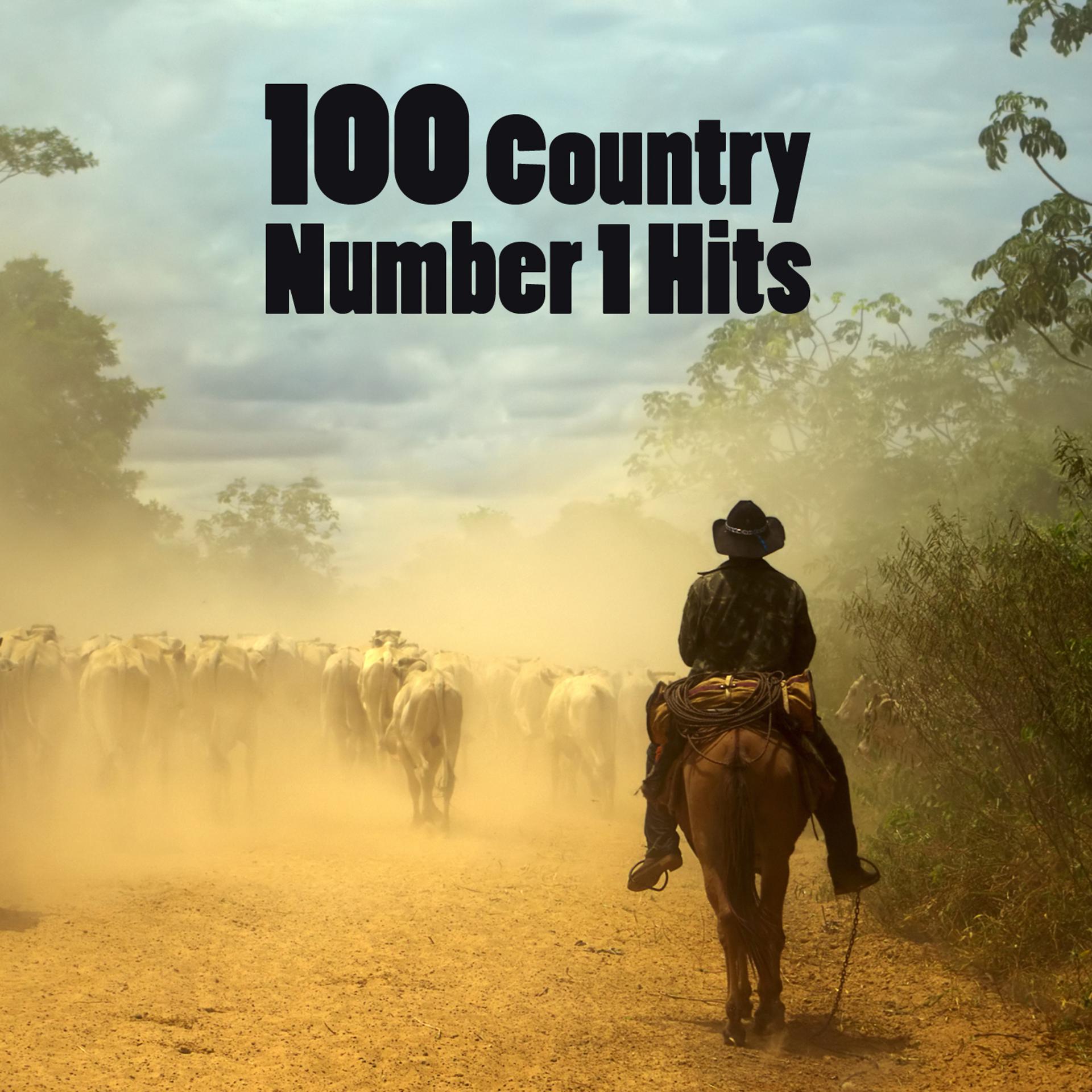 Постер альбома 100 Country Number 1 Hits
