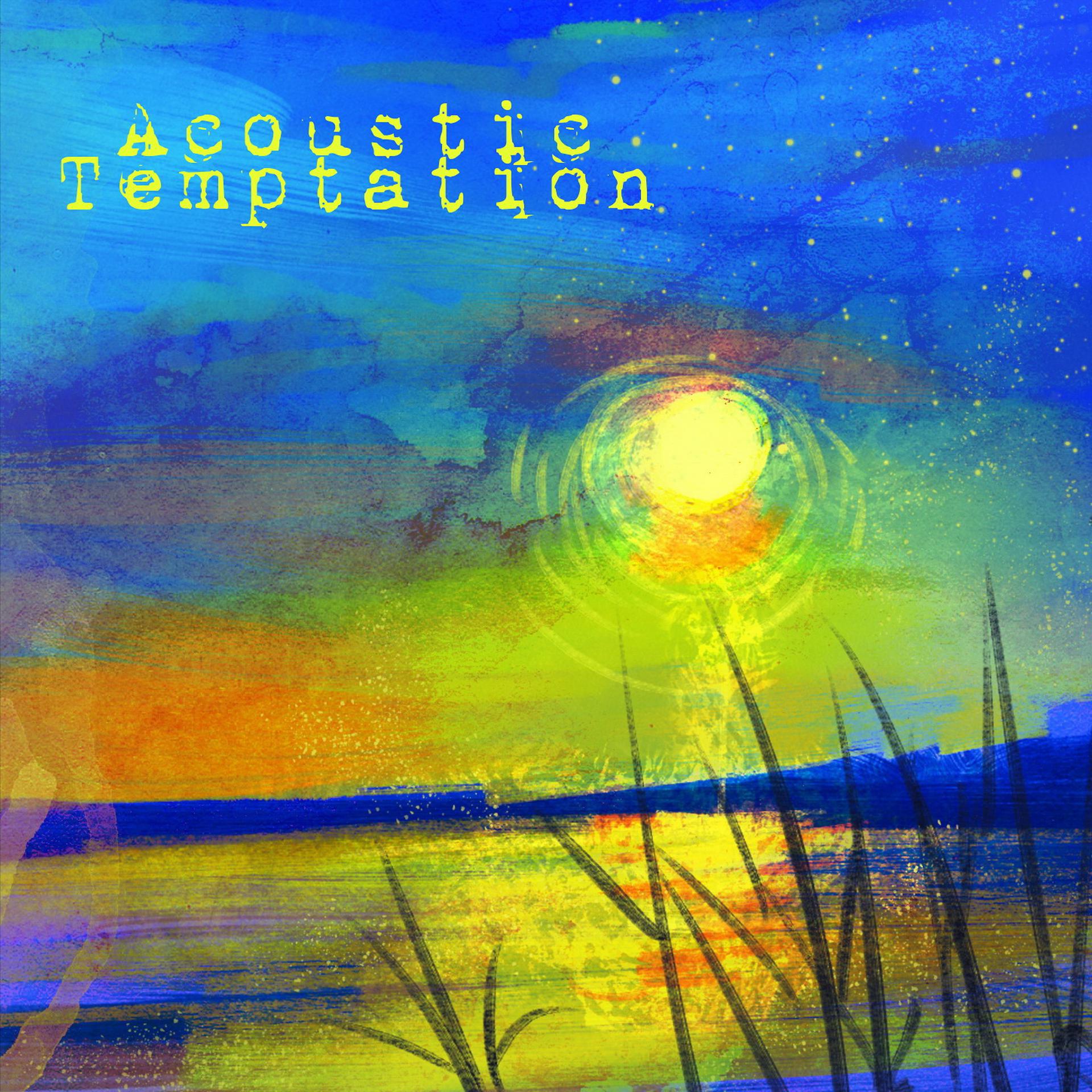 Постер альбома Acoustic Temptation