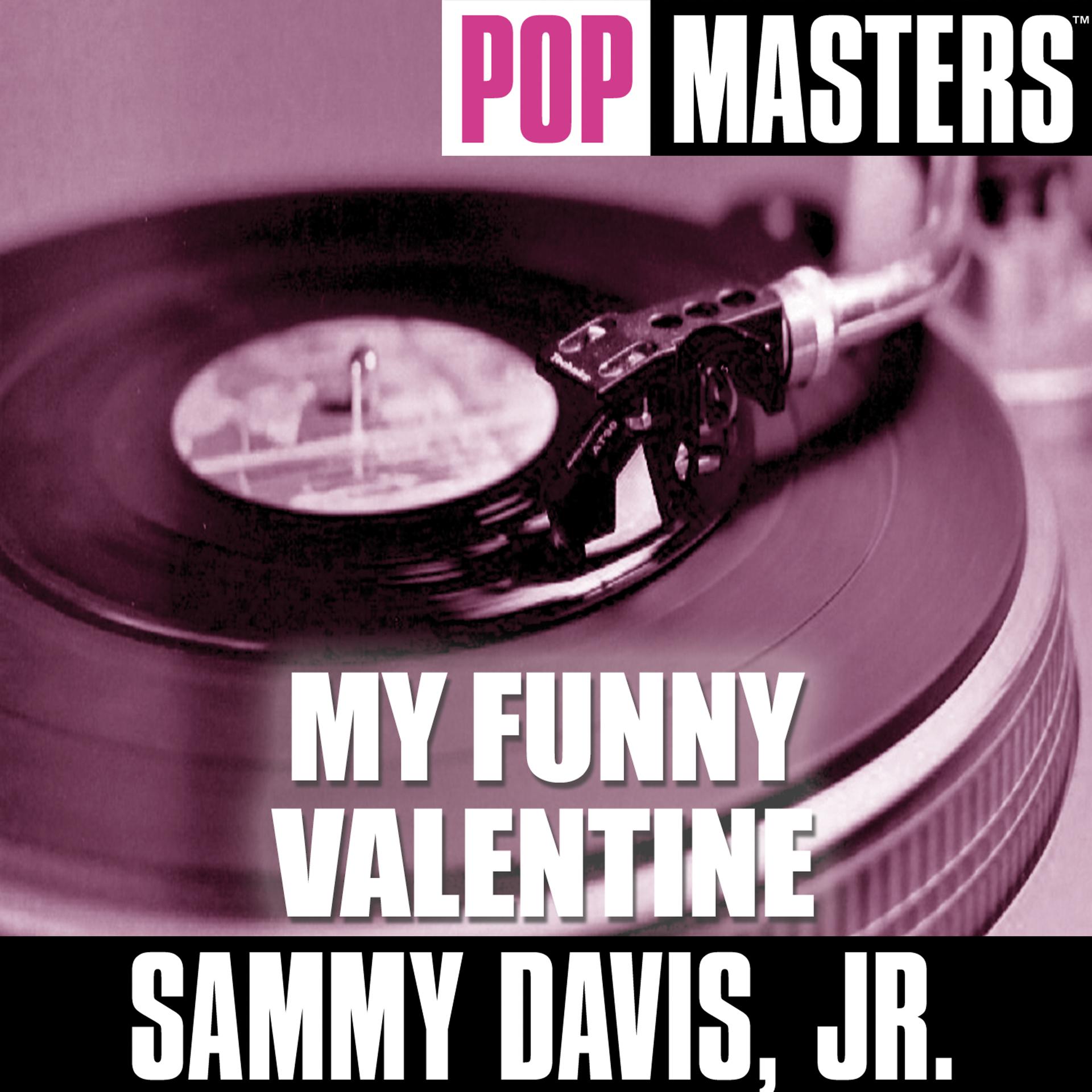 Постер альбома Pop Masters: My Funny Valentine