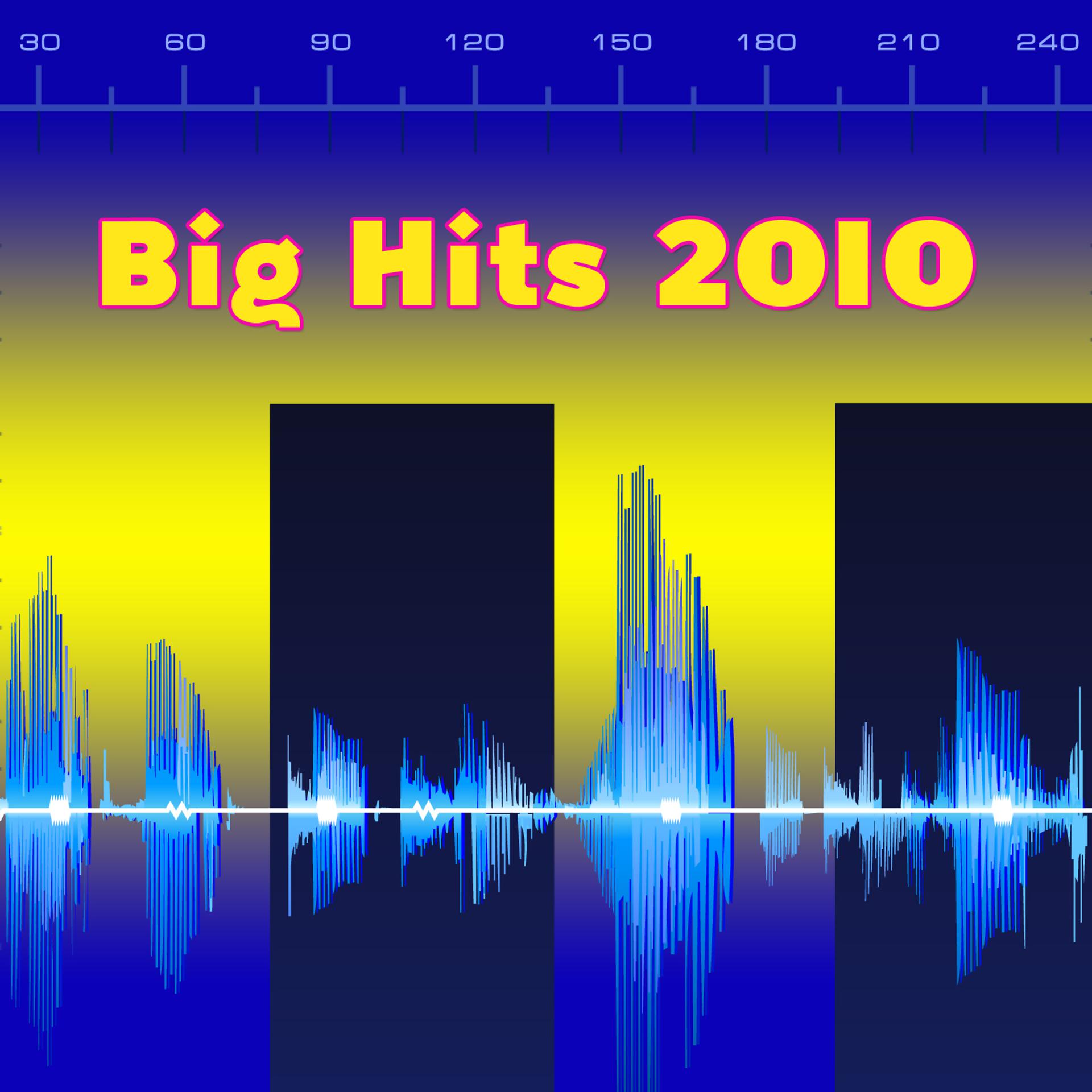 Постер альбома Big Hits 2010