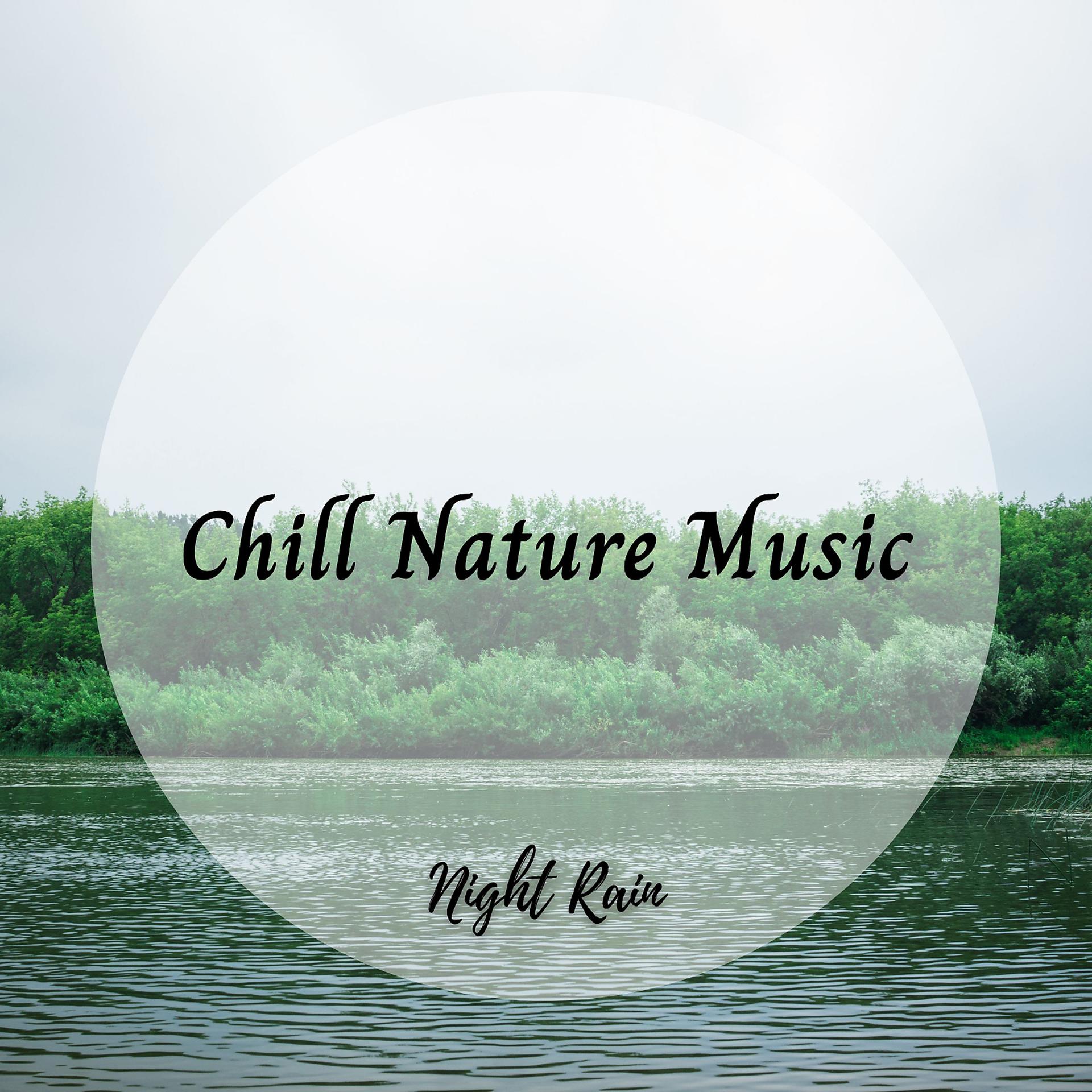 Постер альбома Night Rain: Chill Nature Music