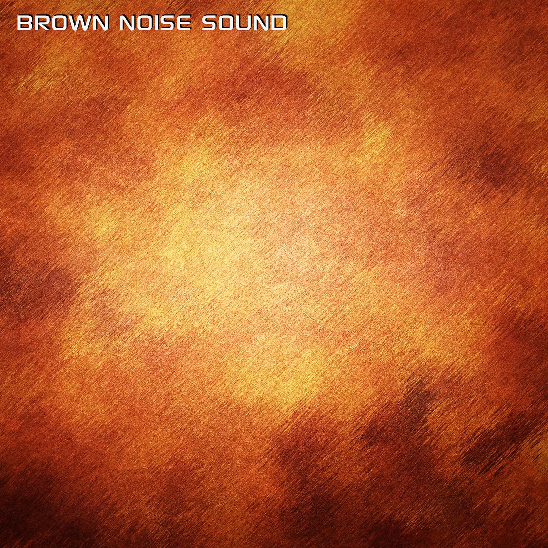 Постер альбома Brown Noise Sound (feat. White Noise Sleep Sounds, Discovery Nature Sound & Discovery Nature Soundscapes)