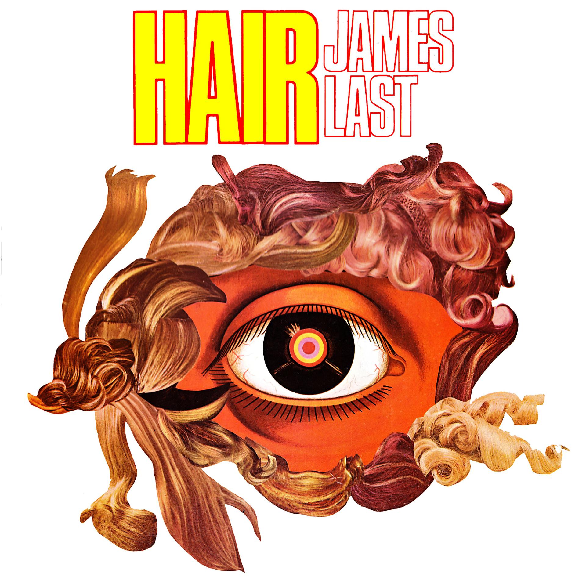 Постер альбома Hair