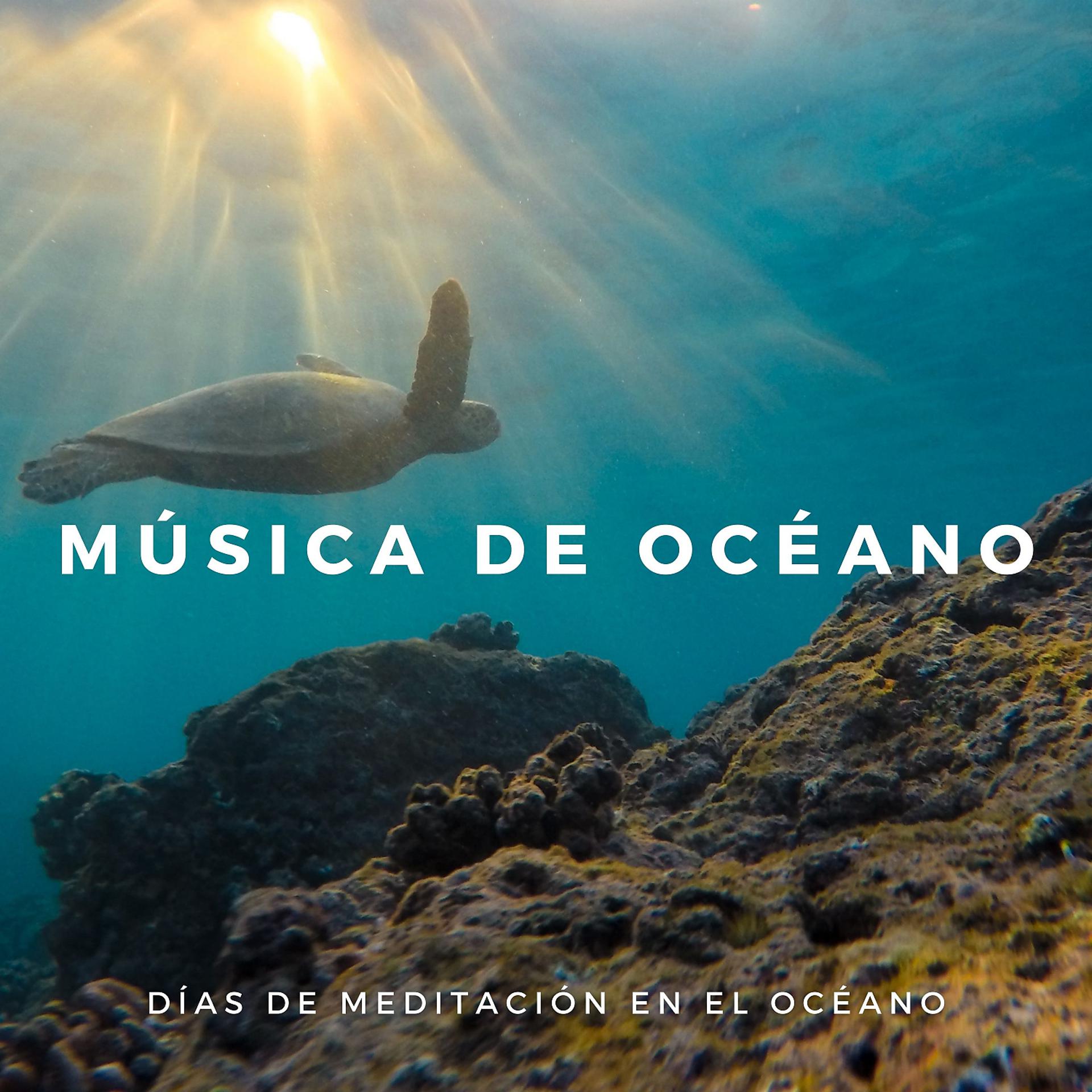 Постер альбома Música De Océano: Días De Meditación En El Océano