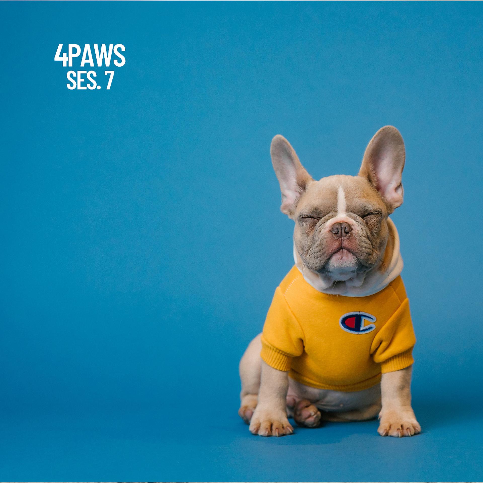 Постер альбома For Pet’s Ears: Sleep Sounds for Pets