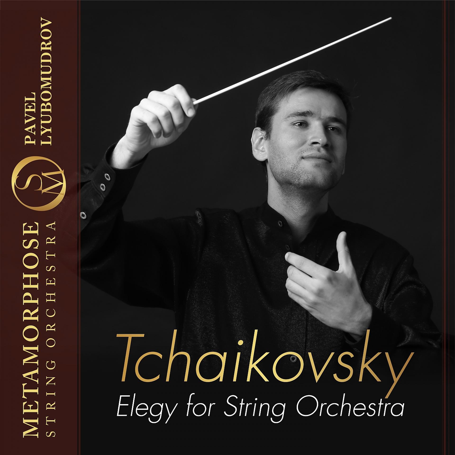 Постер альбома Elegy for String Orchestra