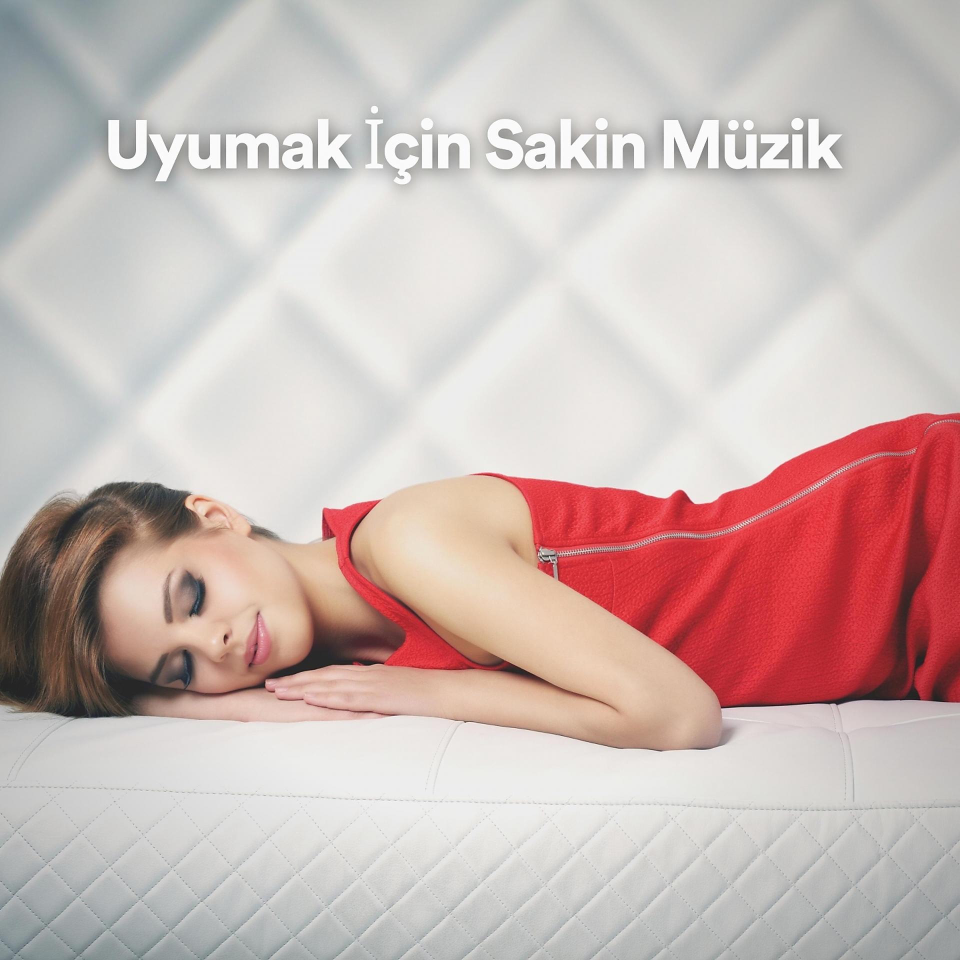 Постер альбома Uyumak İçin Sakin Müzik