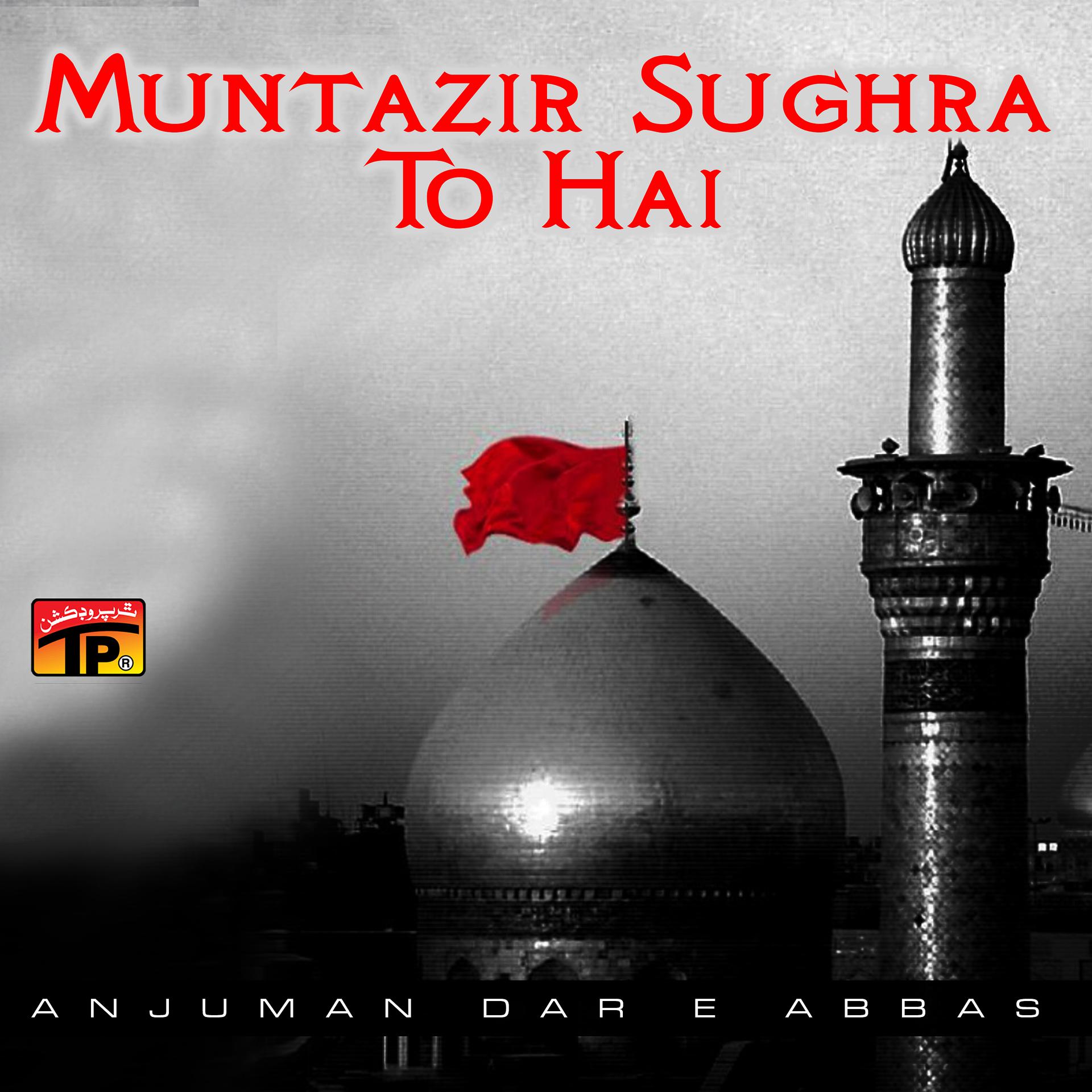 Постер альбома Muntazir Sughra To Hai