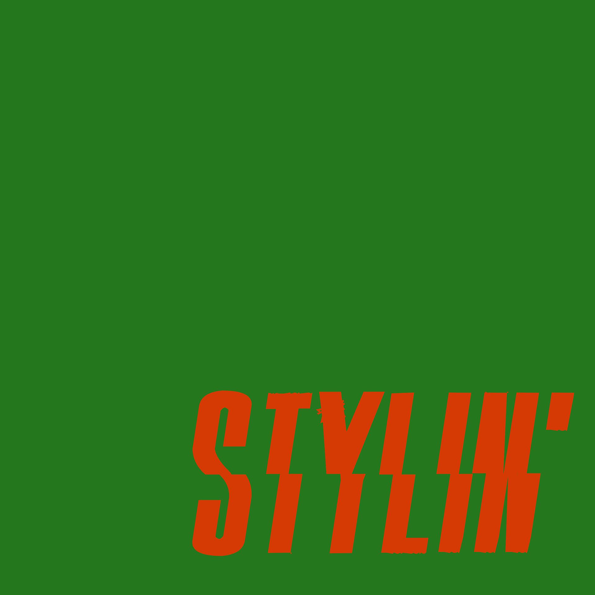 Постер альбома Stylin'