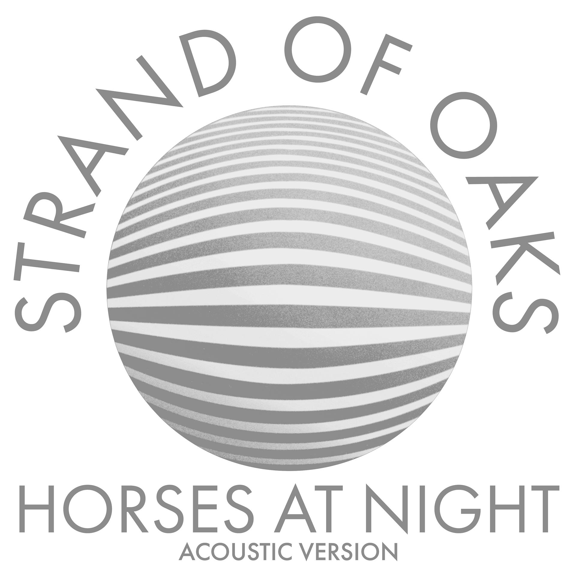 Постер альбома Horses at Night (Acoustic)