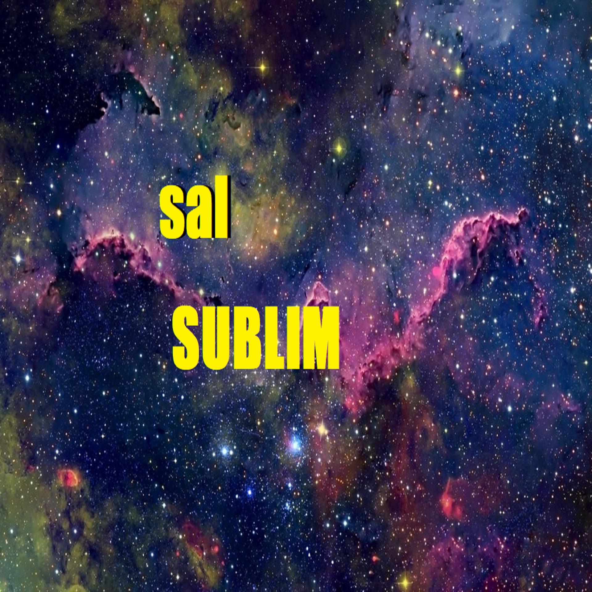 Постер альбома Sal