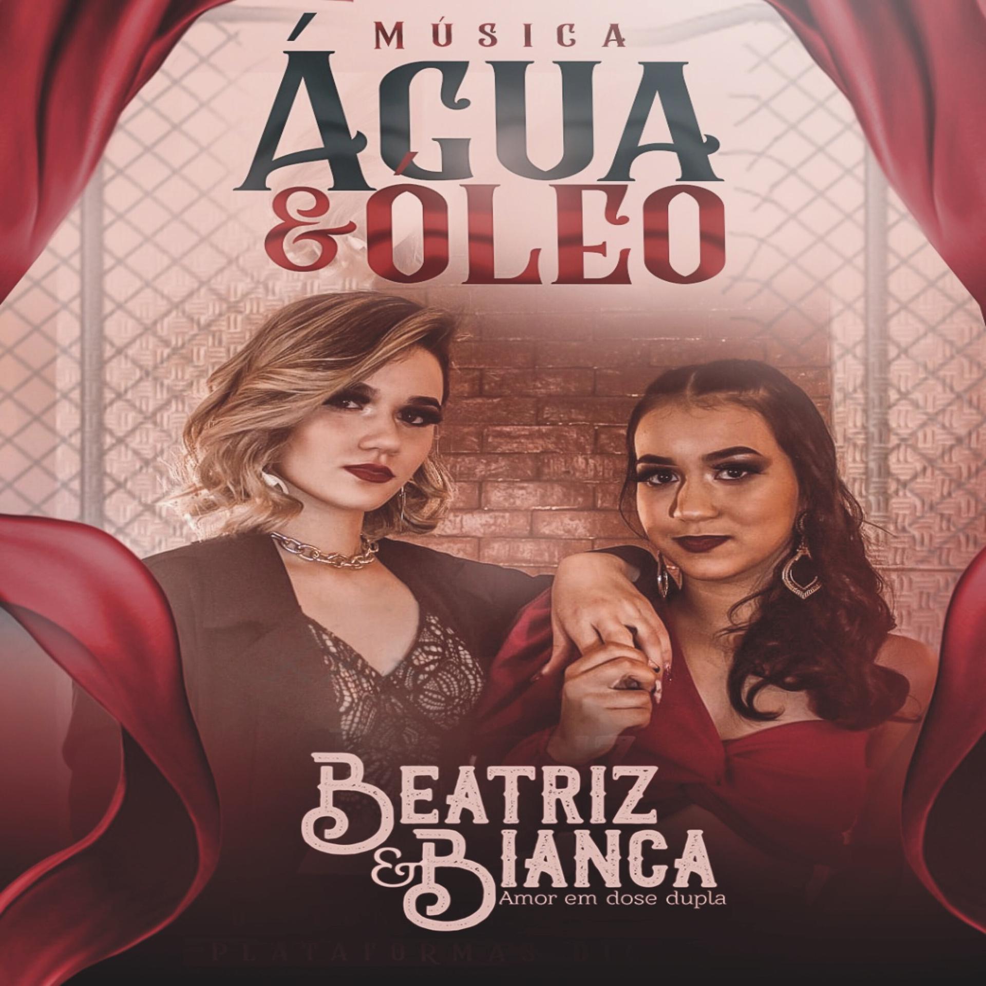 Постер альбома Água e Óleo
