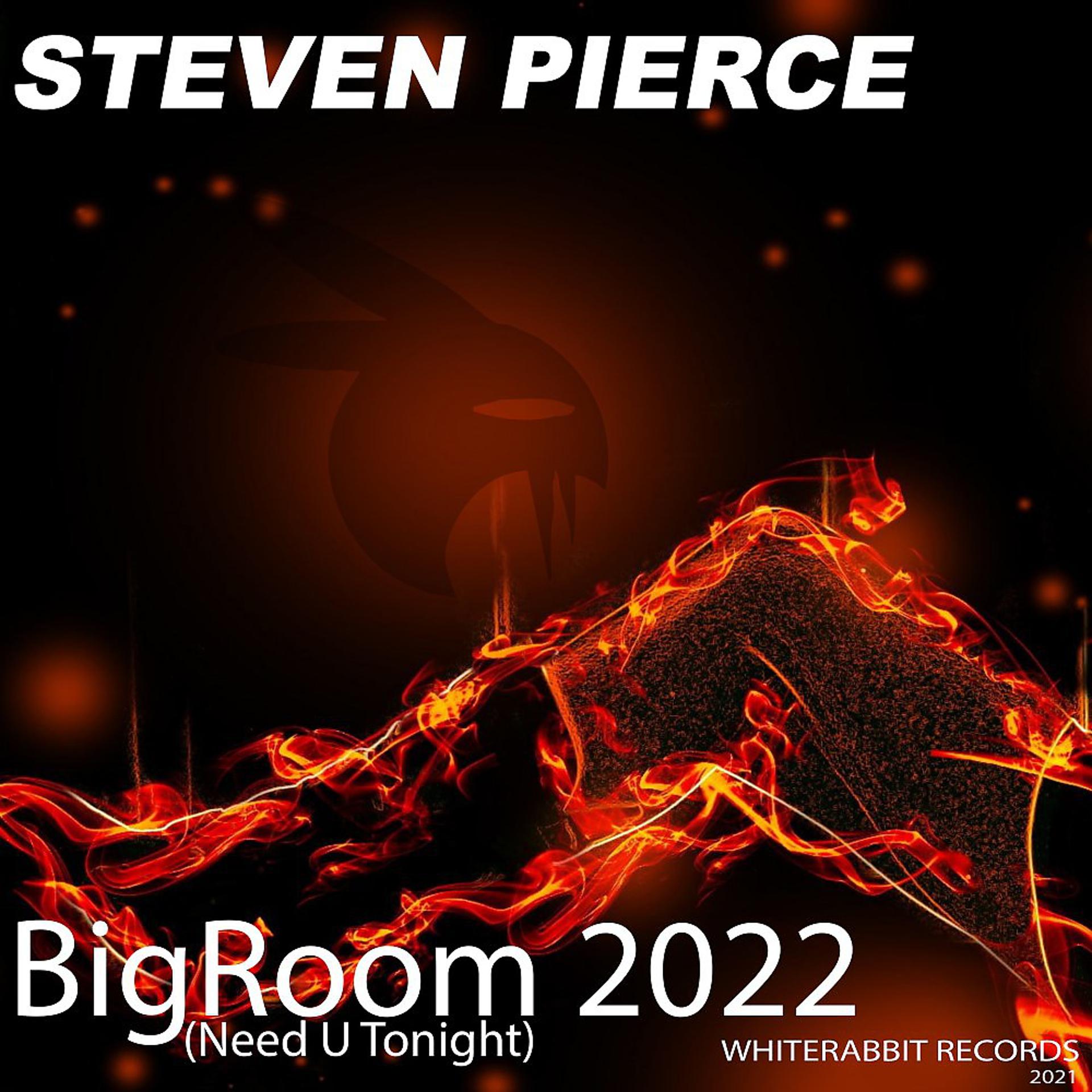 Постер альбома Bigroom 2022 (Need U Tonight)
