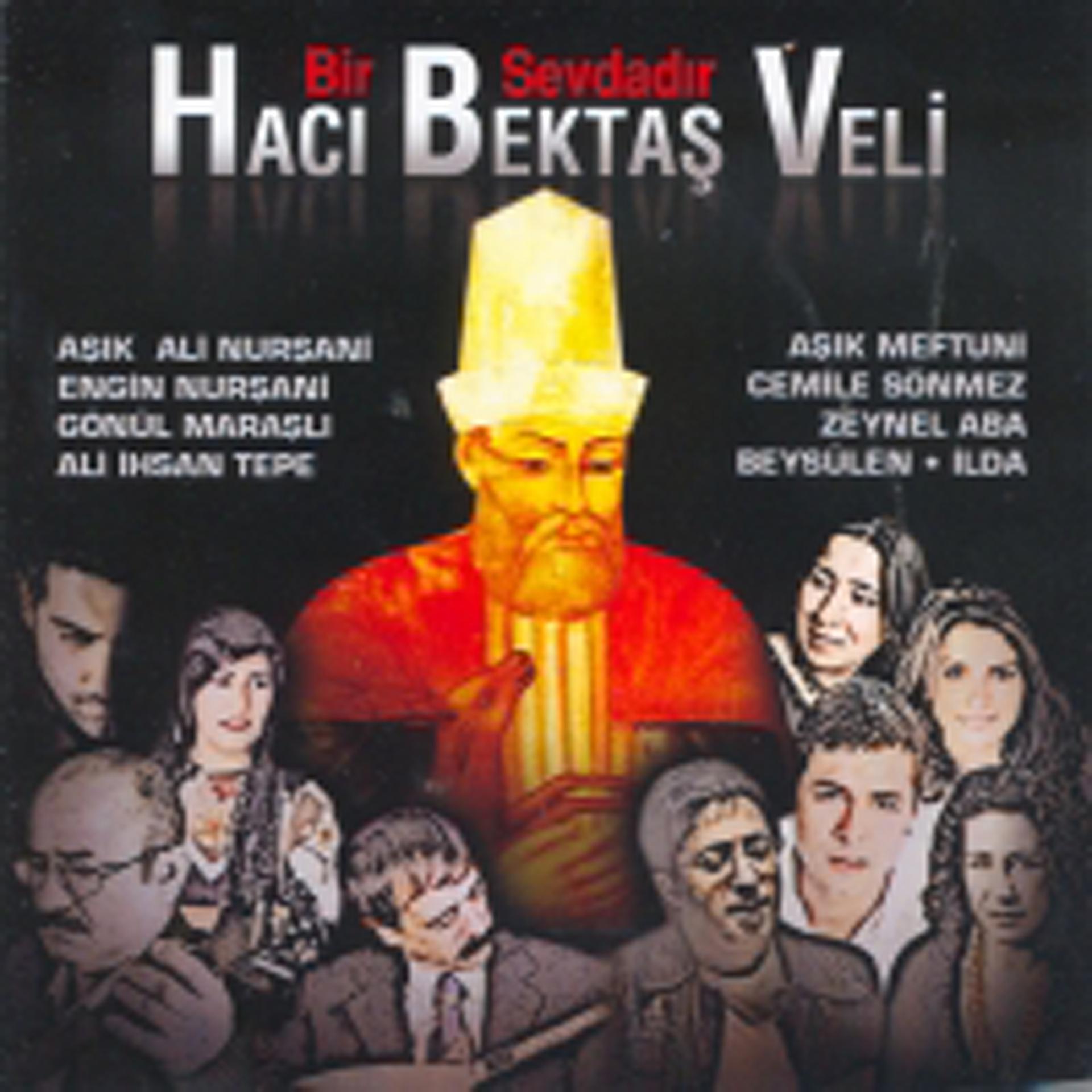 Постер альбома Bir Sevdadir Haci Bektas Veli