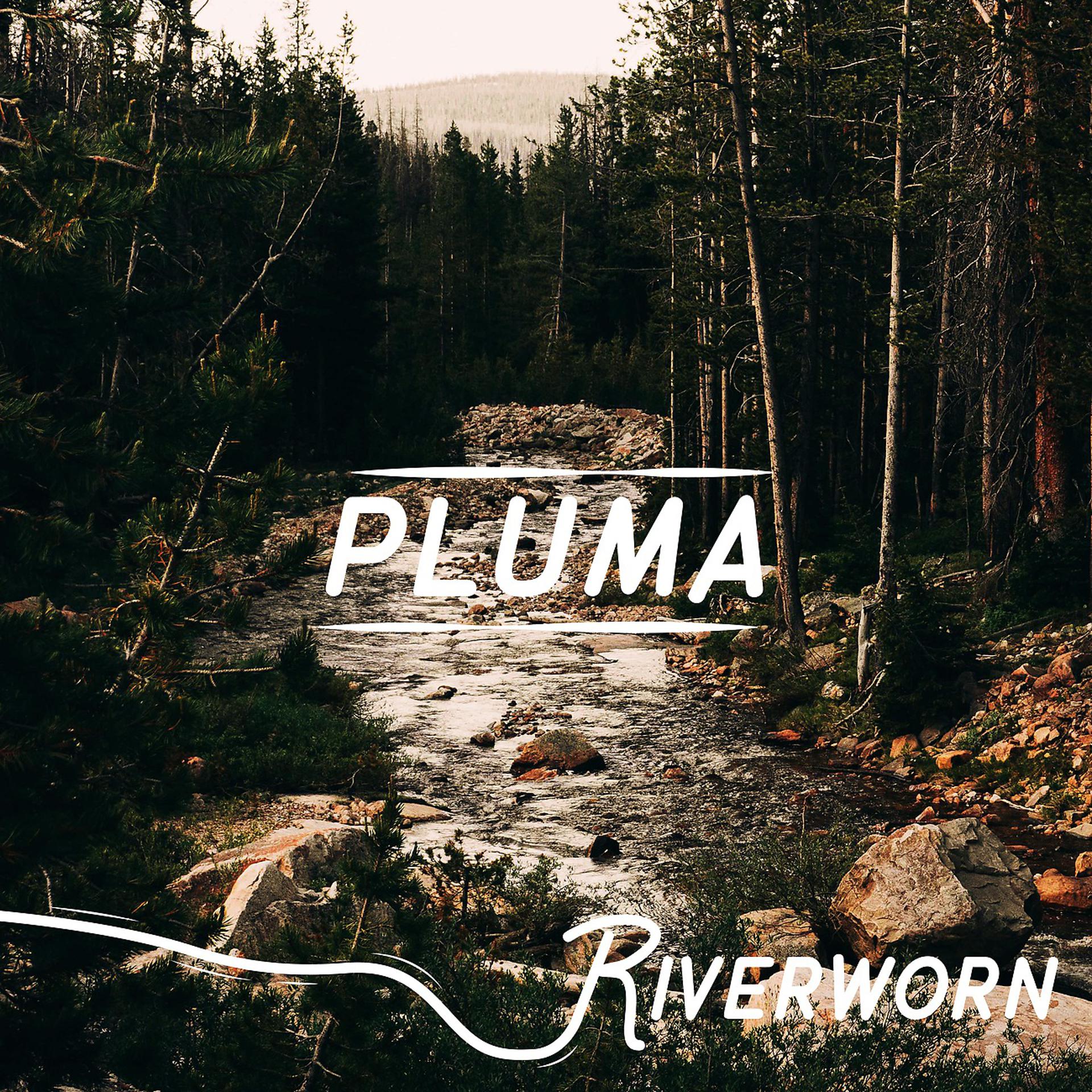 Постер альбома Pluma