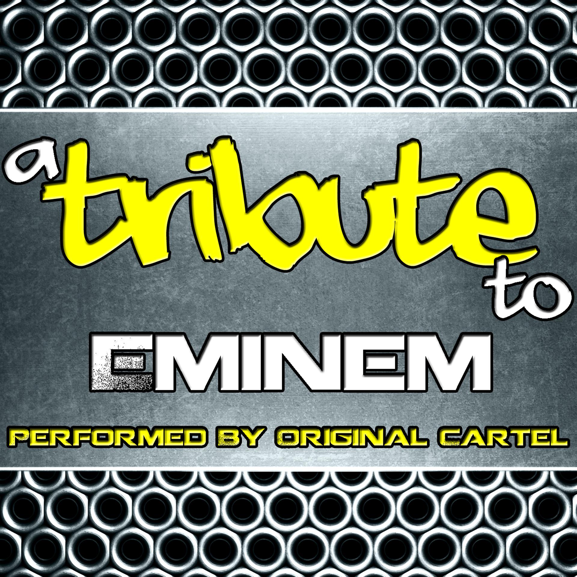 Постер альбома A Tribute to Eminem