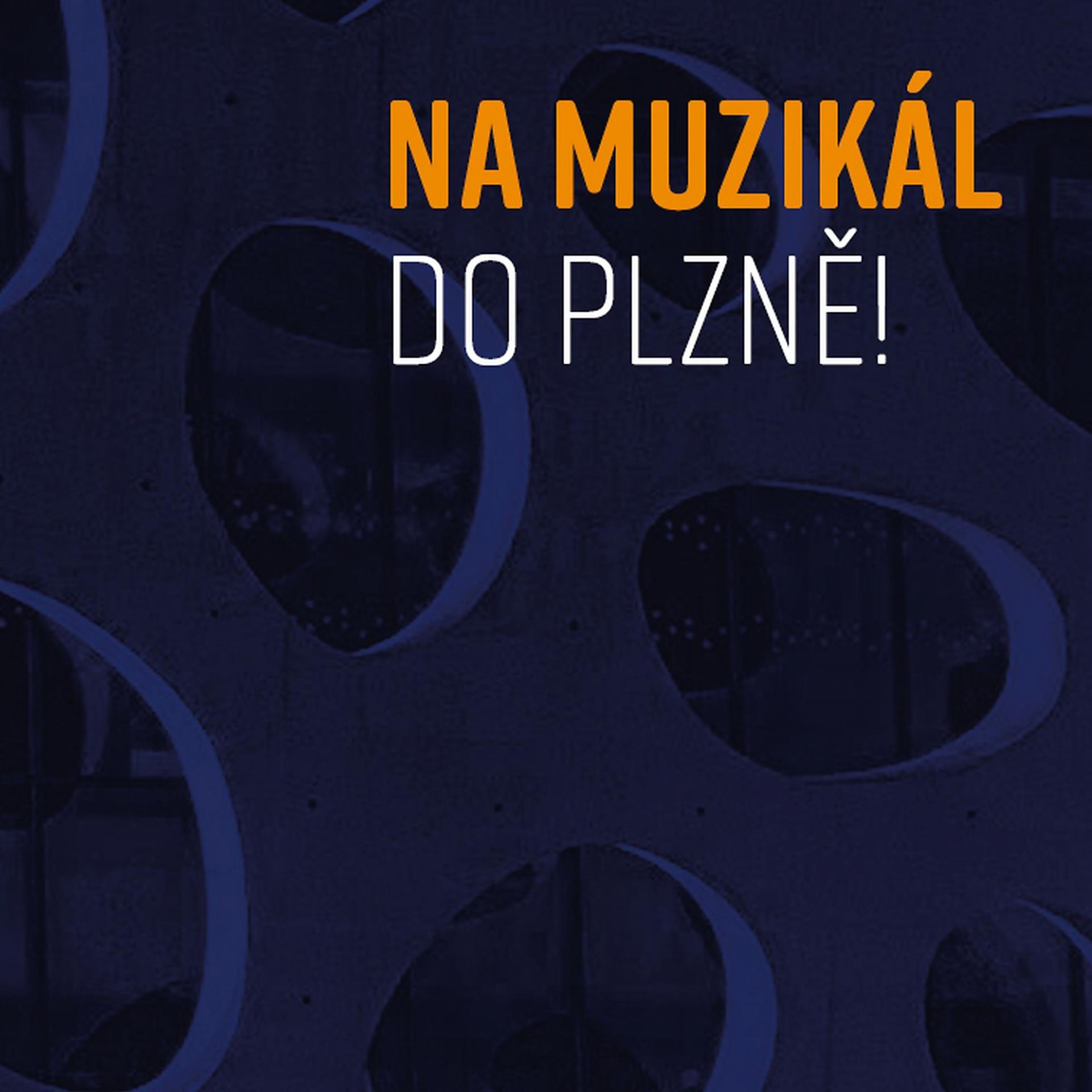 Постер альбома Na muzikál do Plzně!