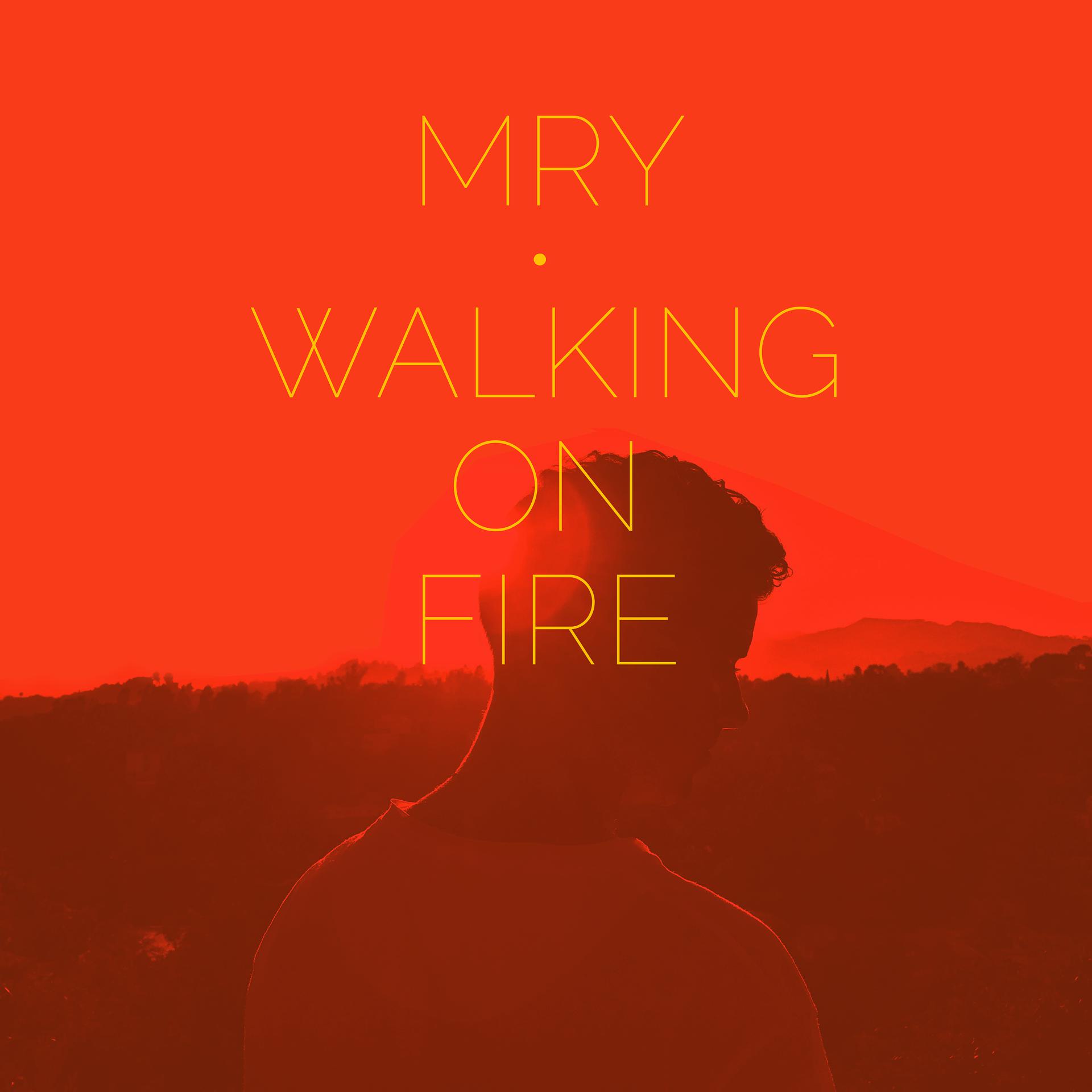 Постер альбома Walking on Fire